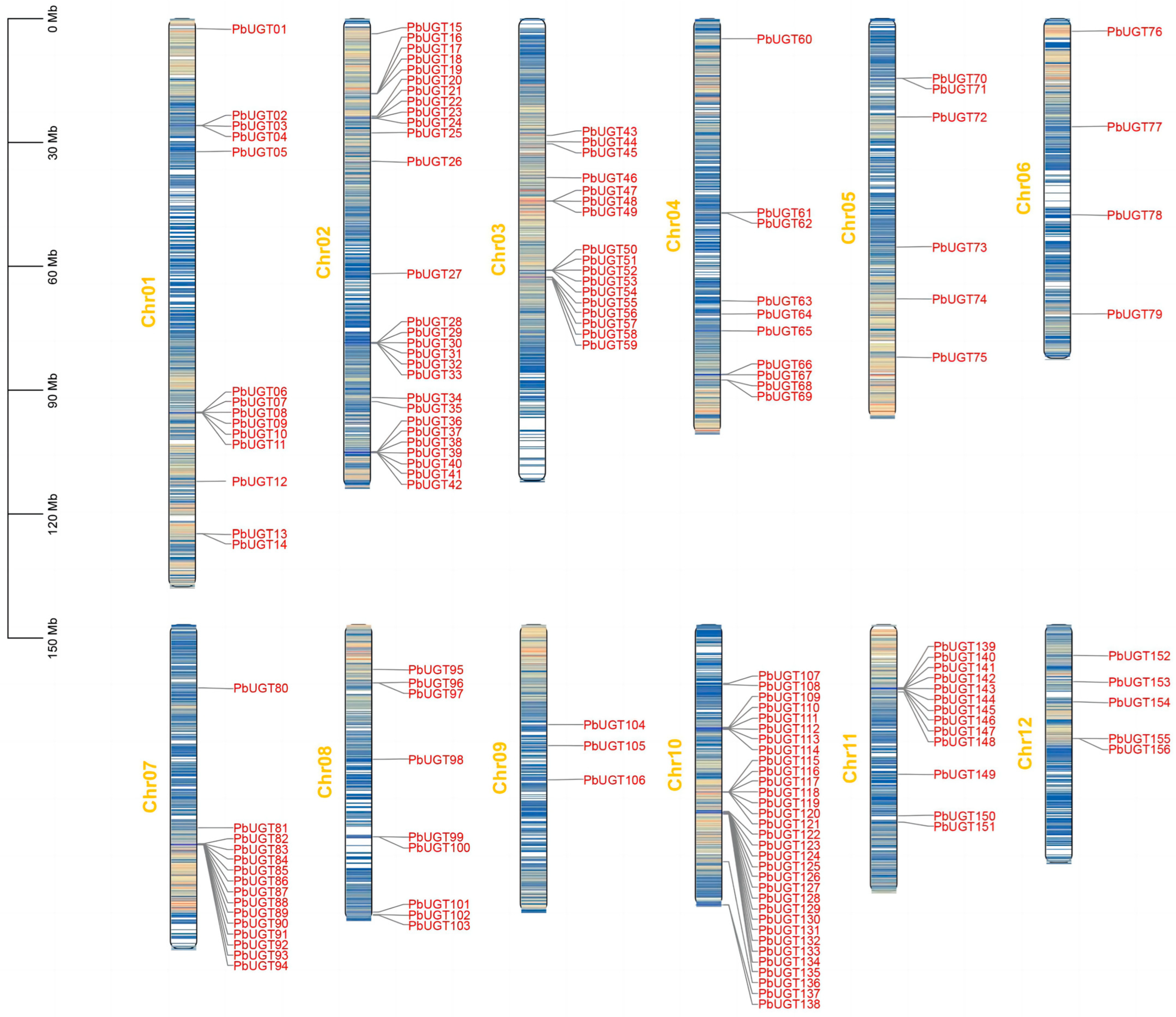 Plants 13 00722 g001