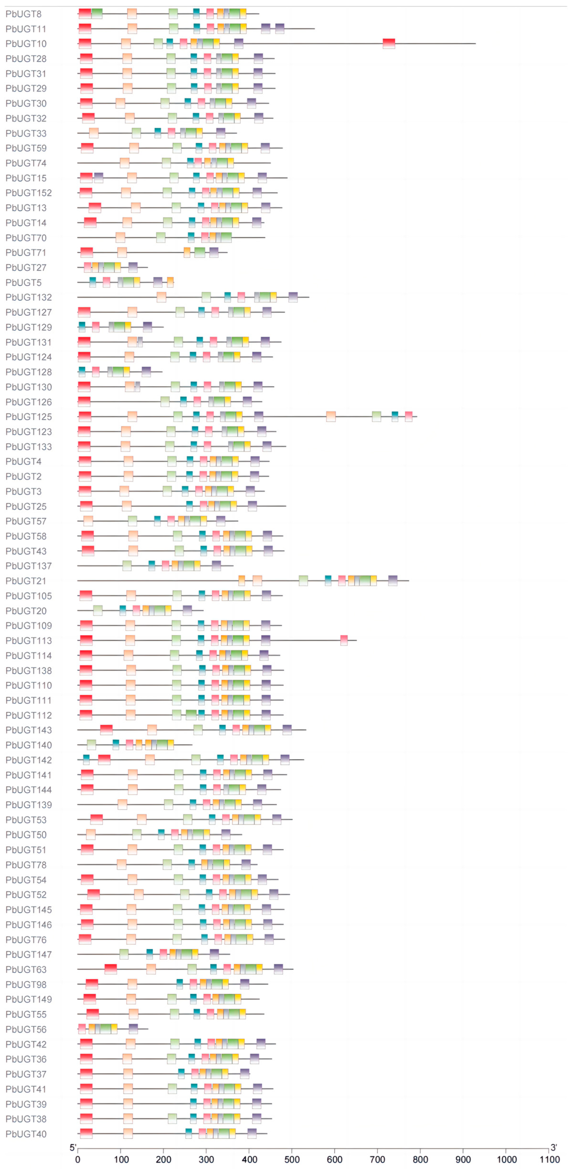 Plants 13 00722 g002b