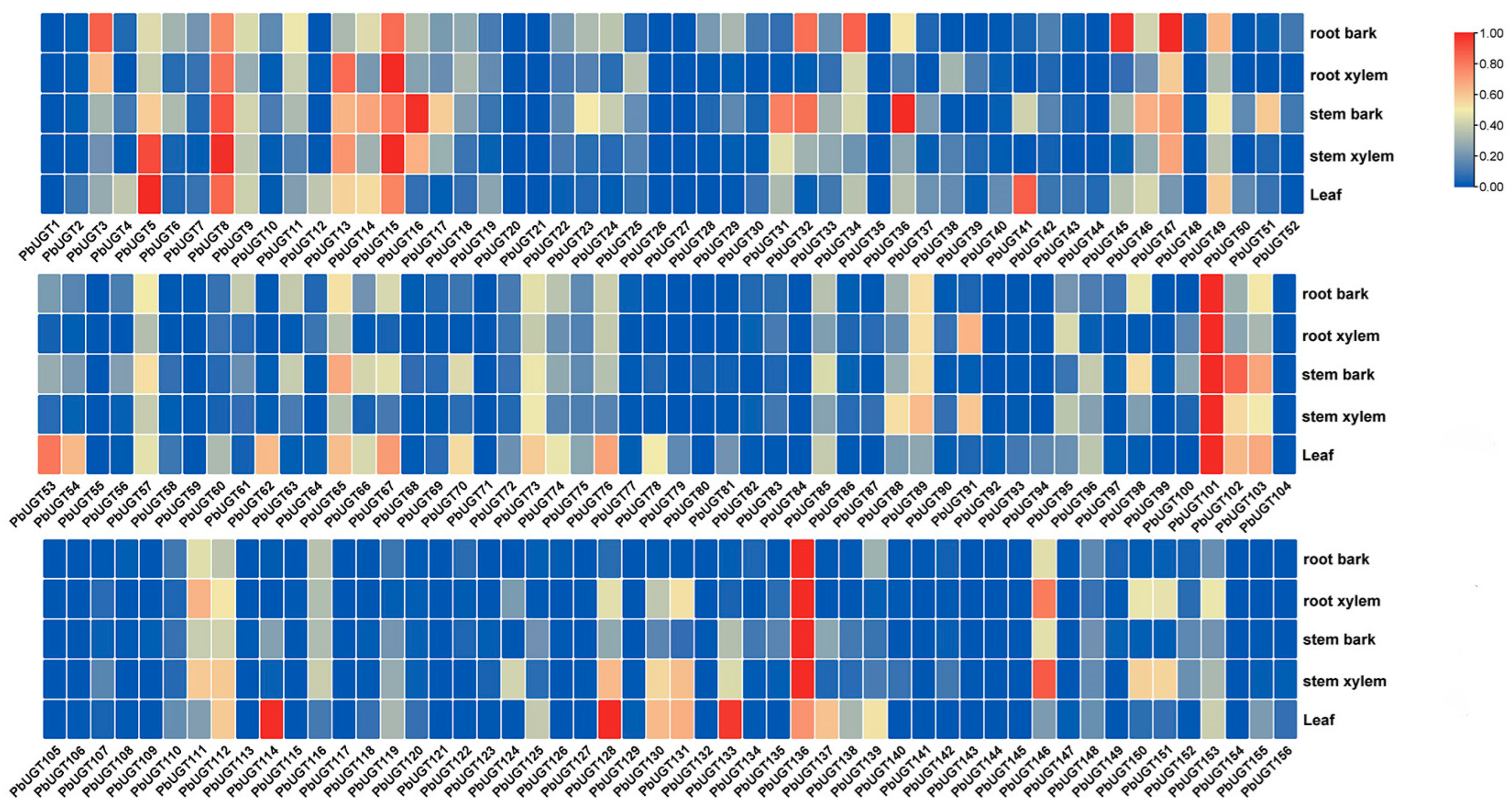 Plants 13 00722 g004