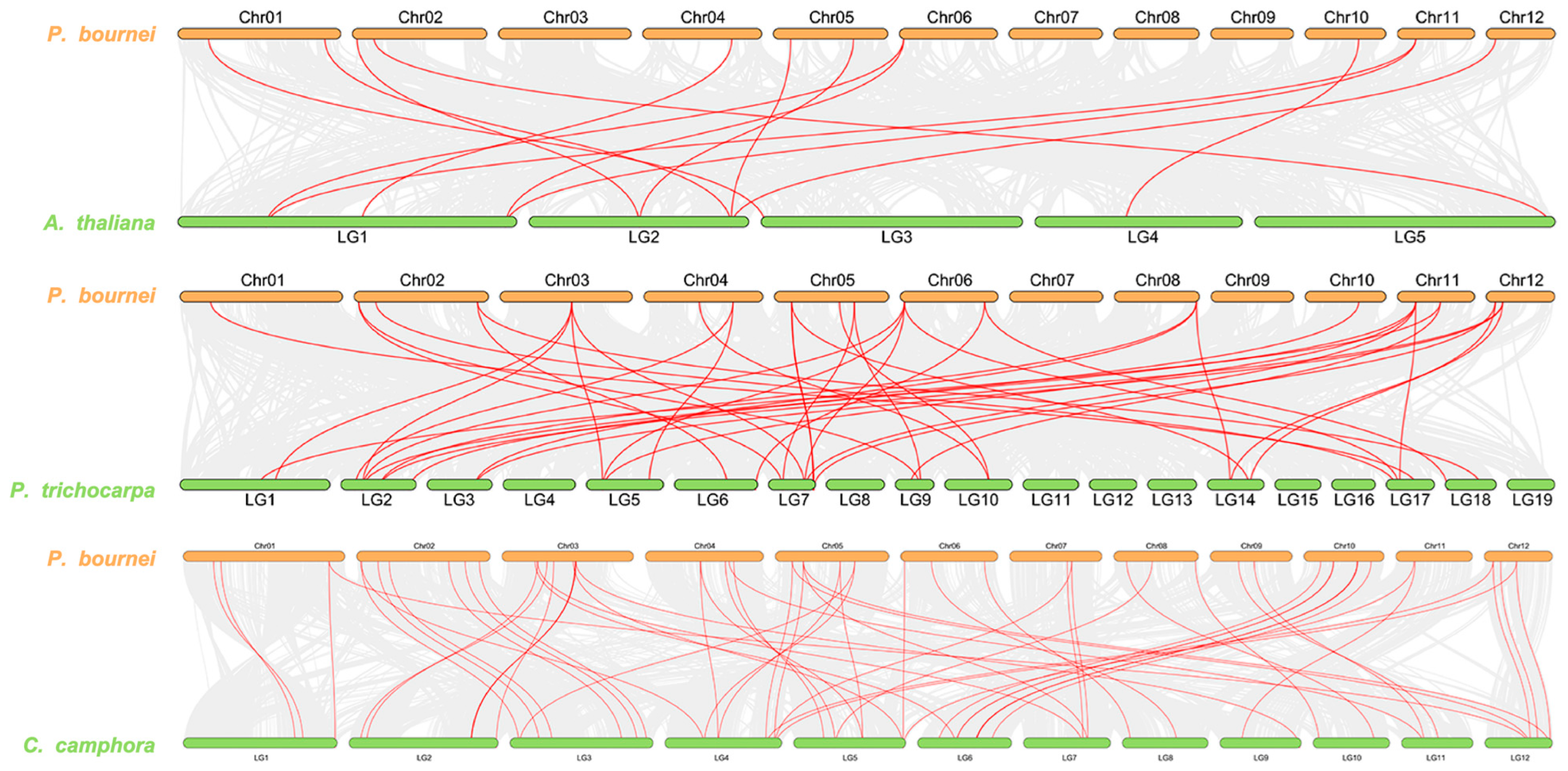 Plants 13 00722 g005