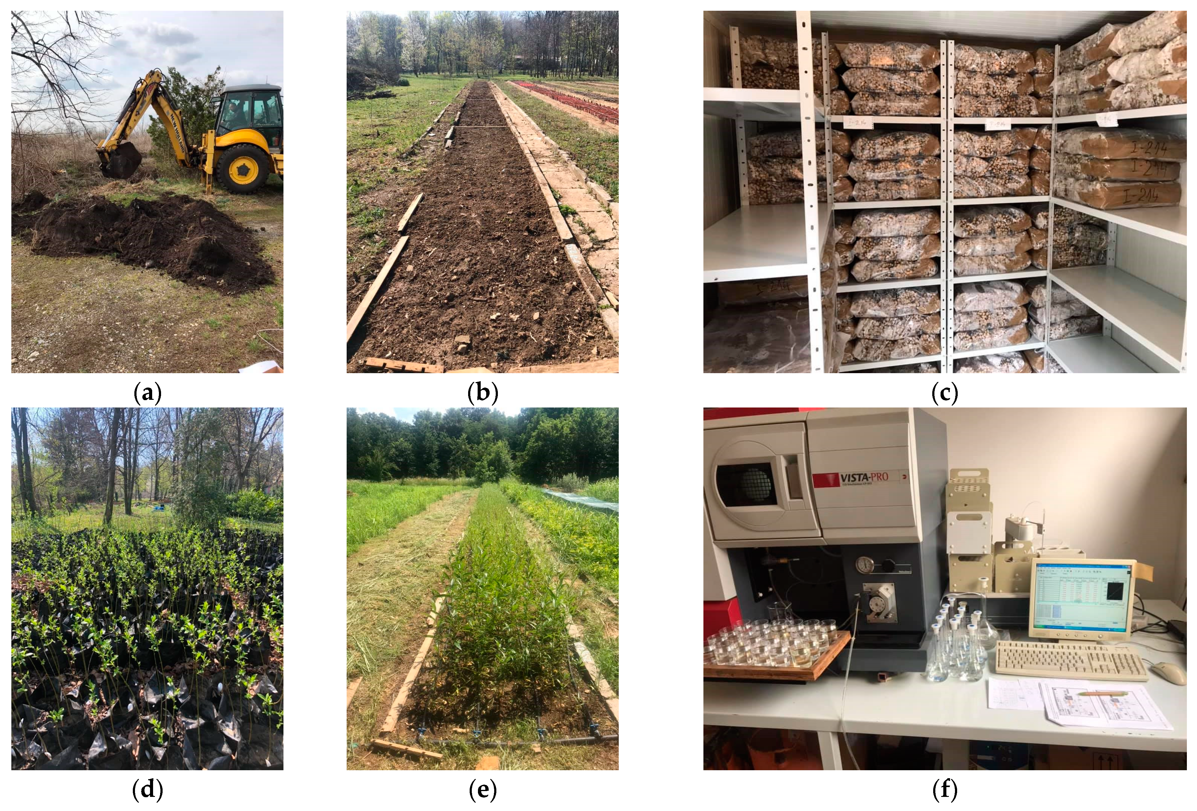 Plants 13 00735 g004