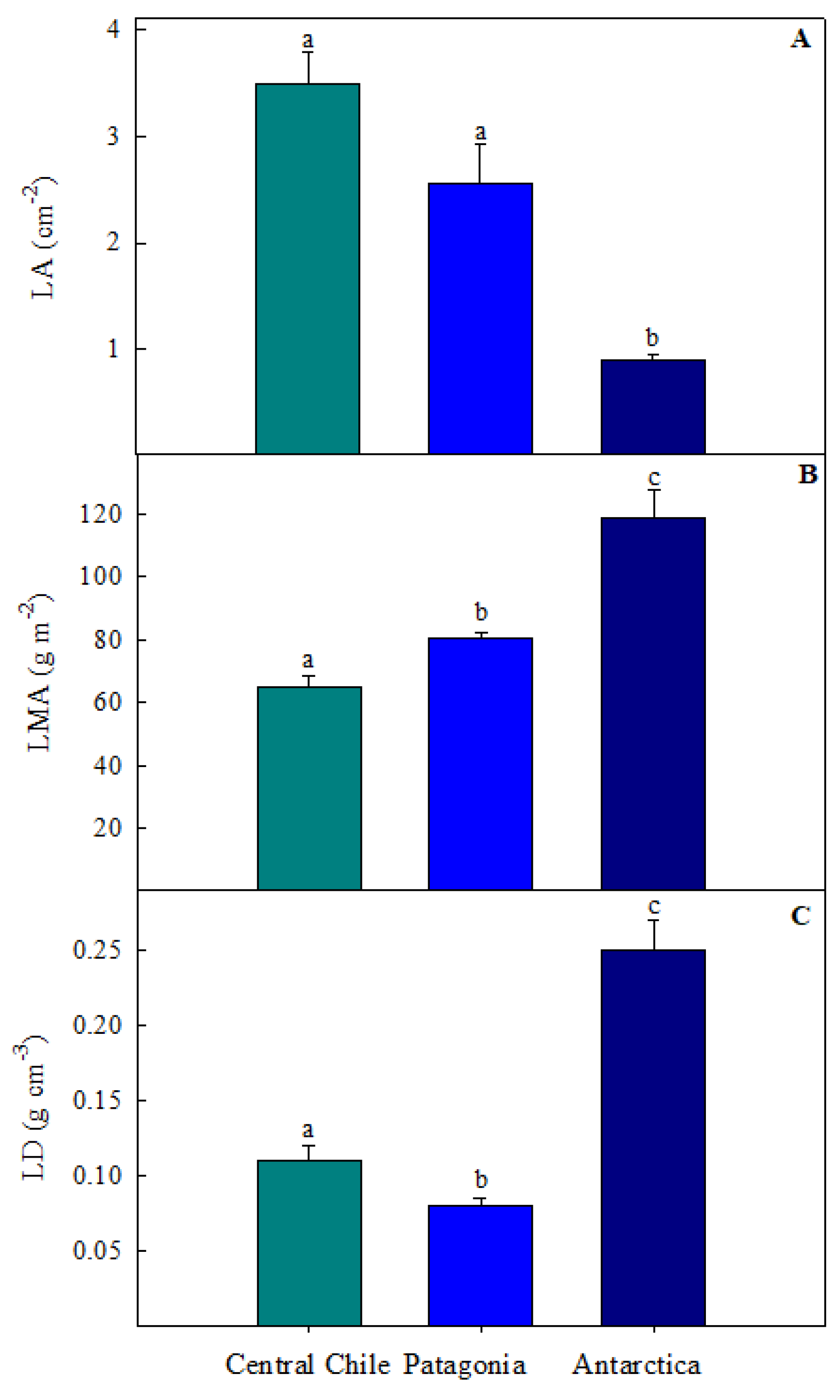 Plants 13 00769 g001