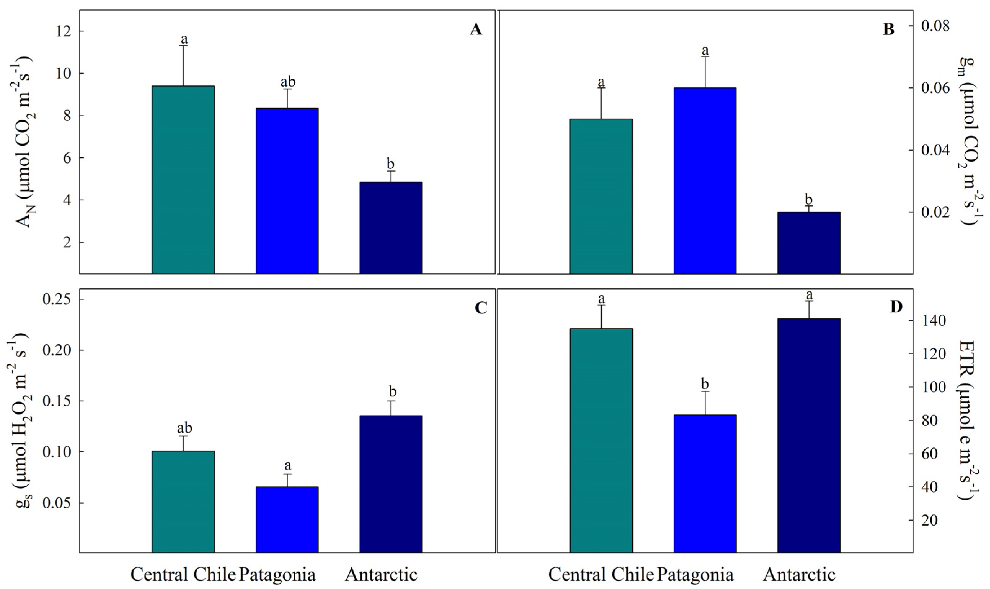 Plants 13 00769 g002