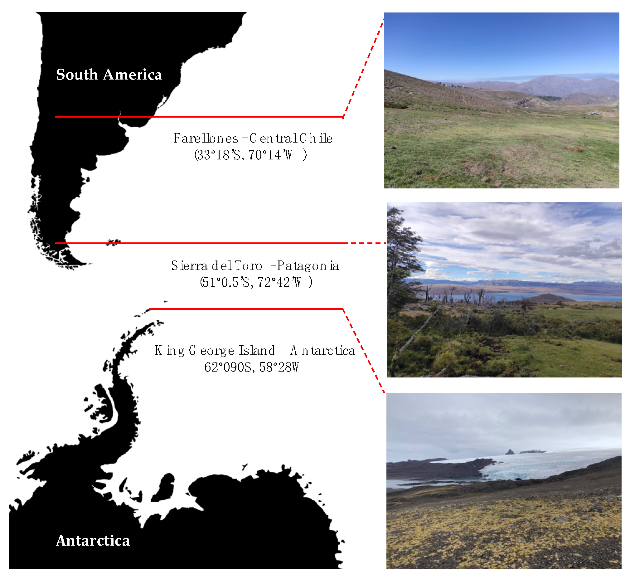 Plants 13 00769 g005