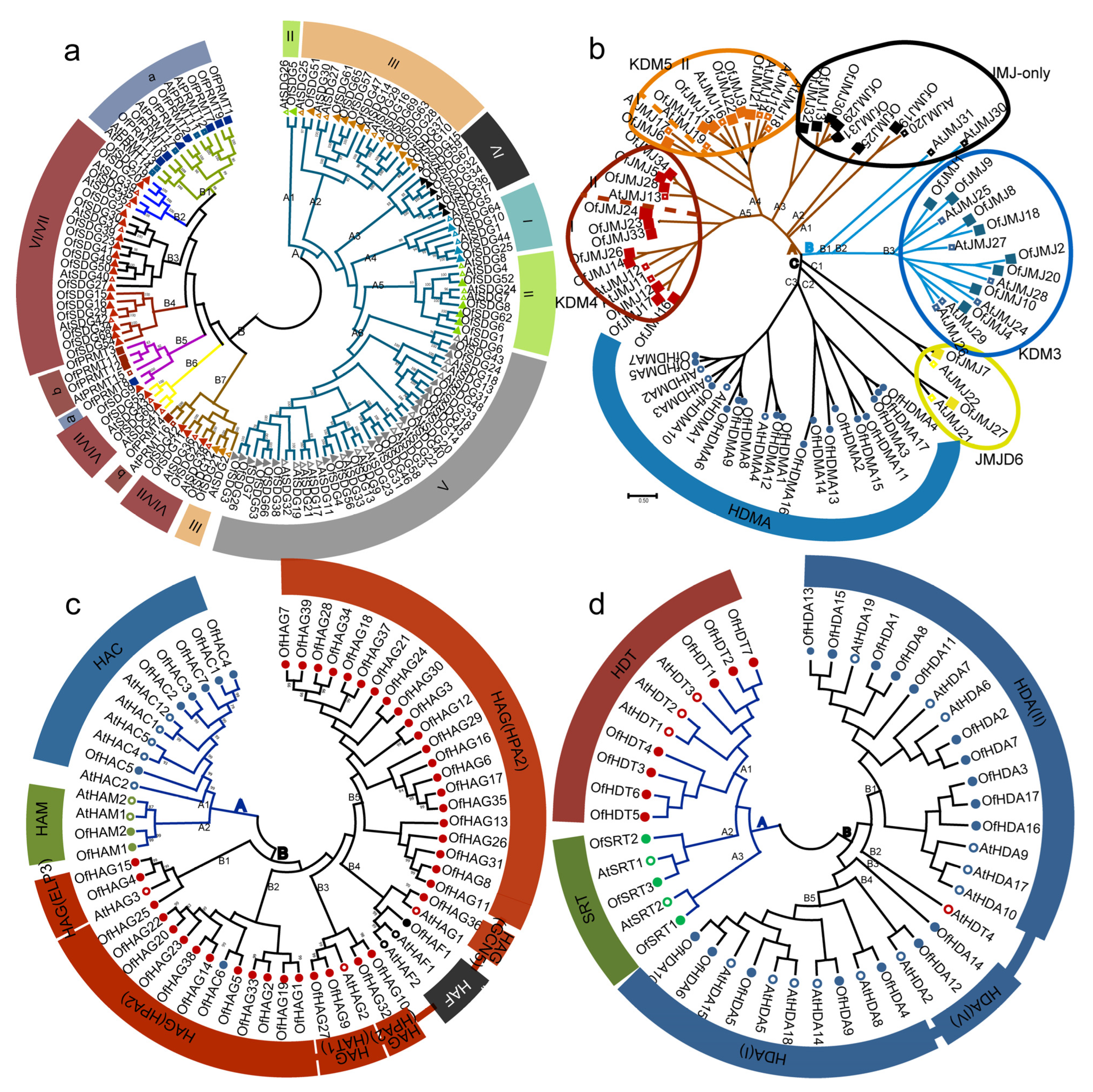 Plants 13 00777 g001