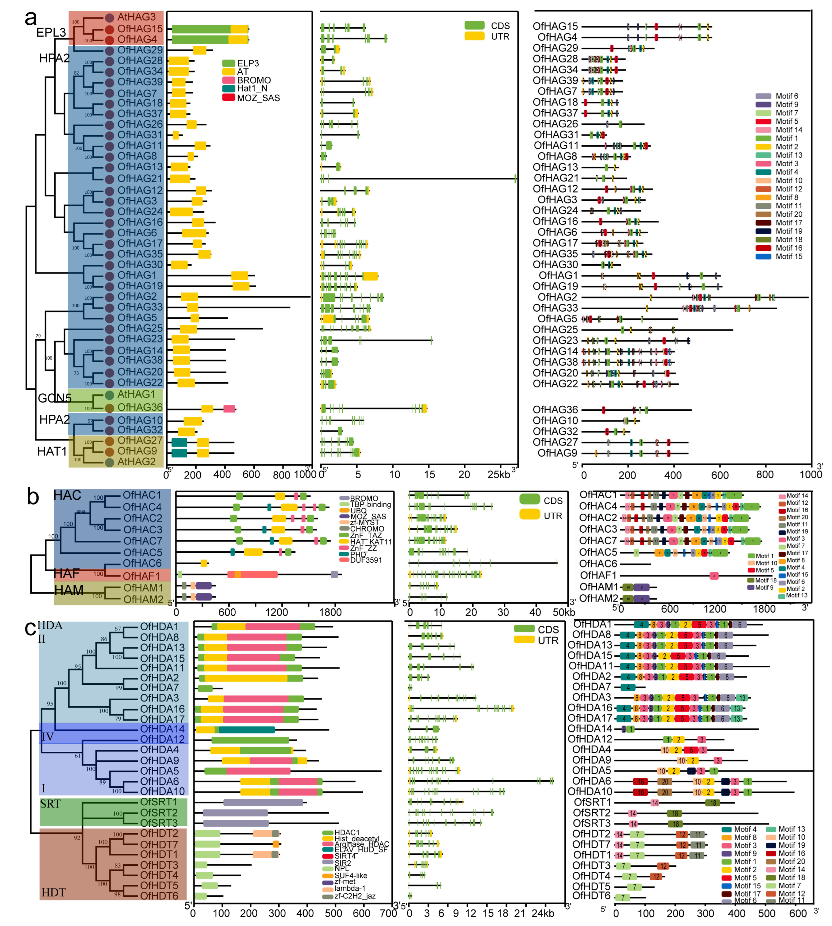 Plants 13 00777 g003