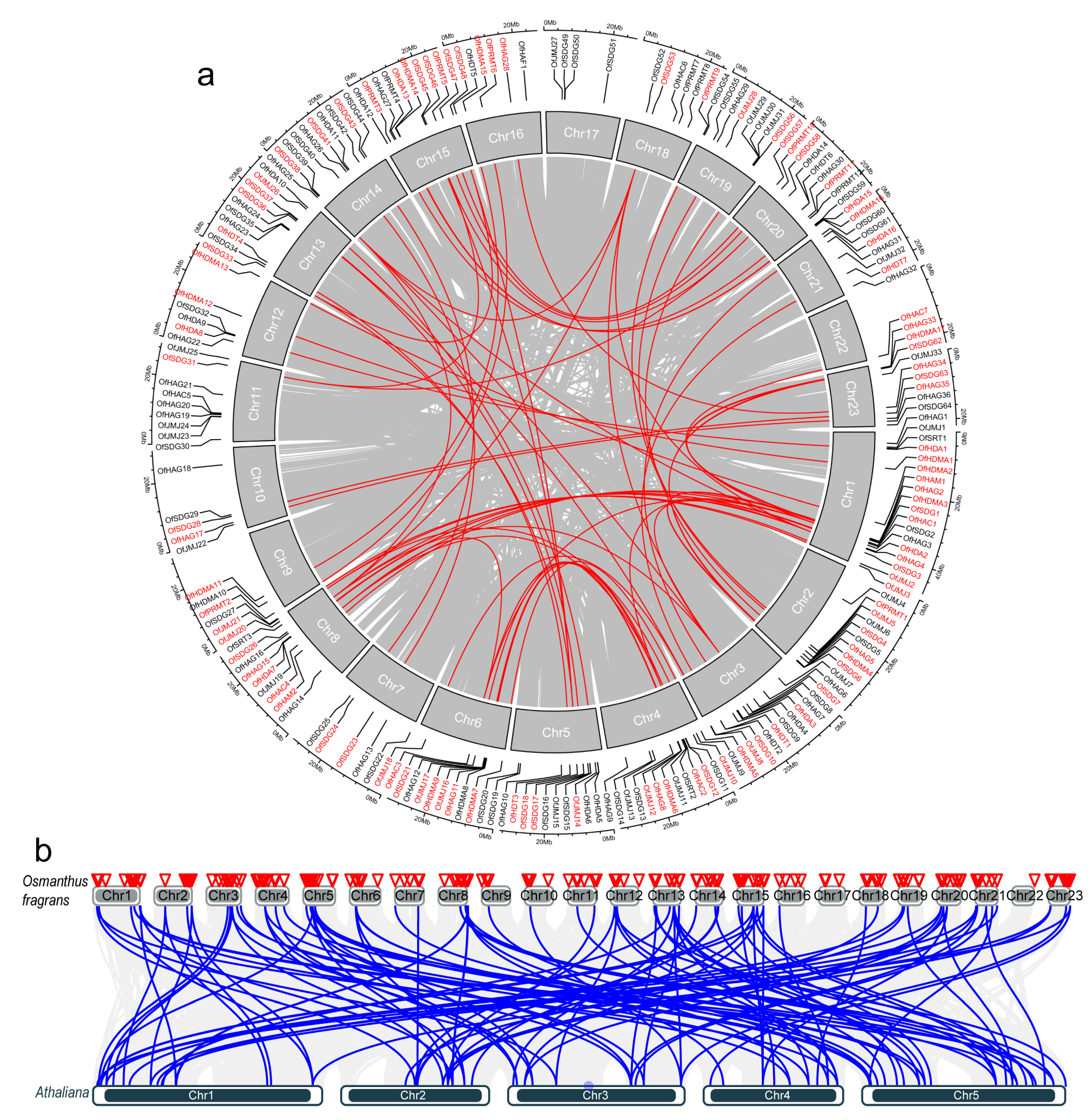 Plants 13 00777 g006