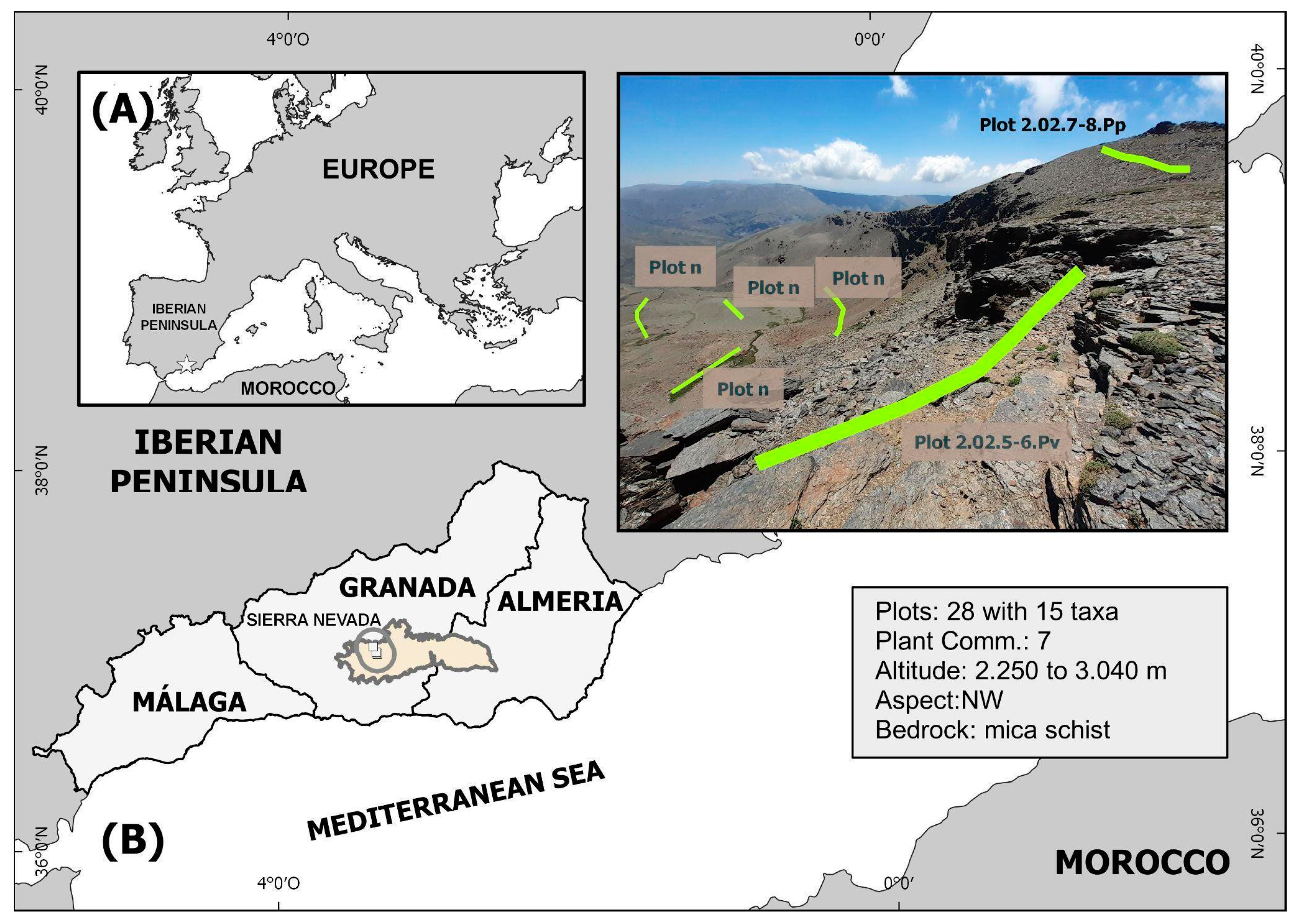 Plants 13 00783 g0a1 Plants 13 00783 g0a1