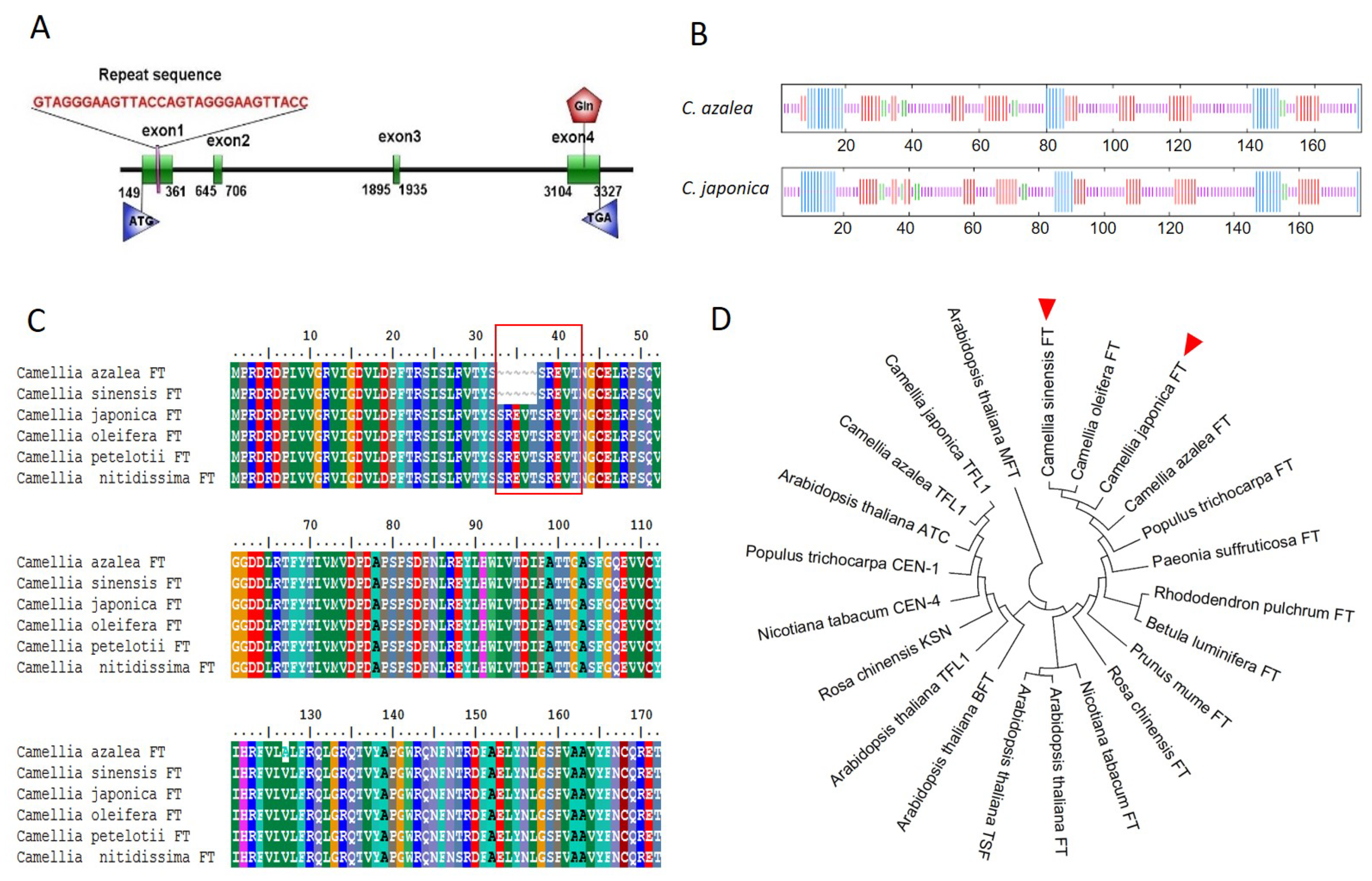 Plants 13 00784 g001