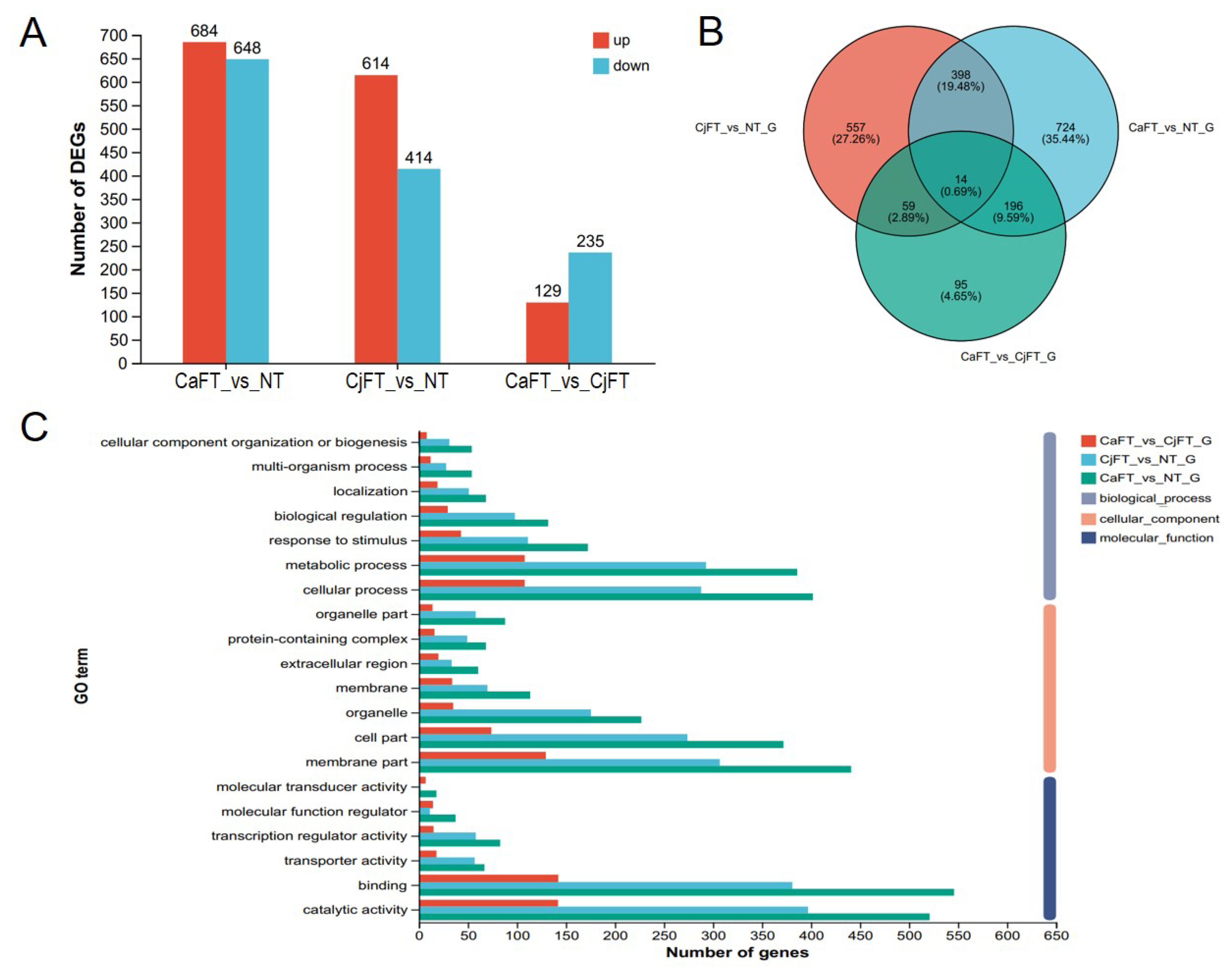 Plants 13 00784 g006