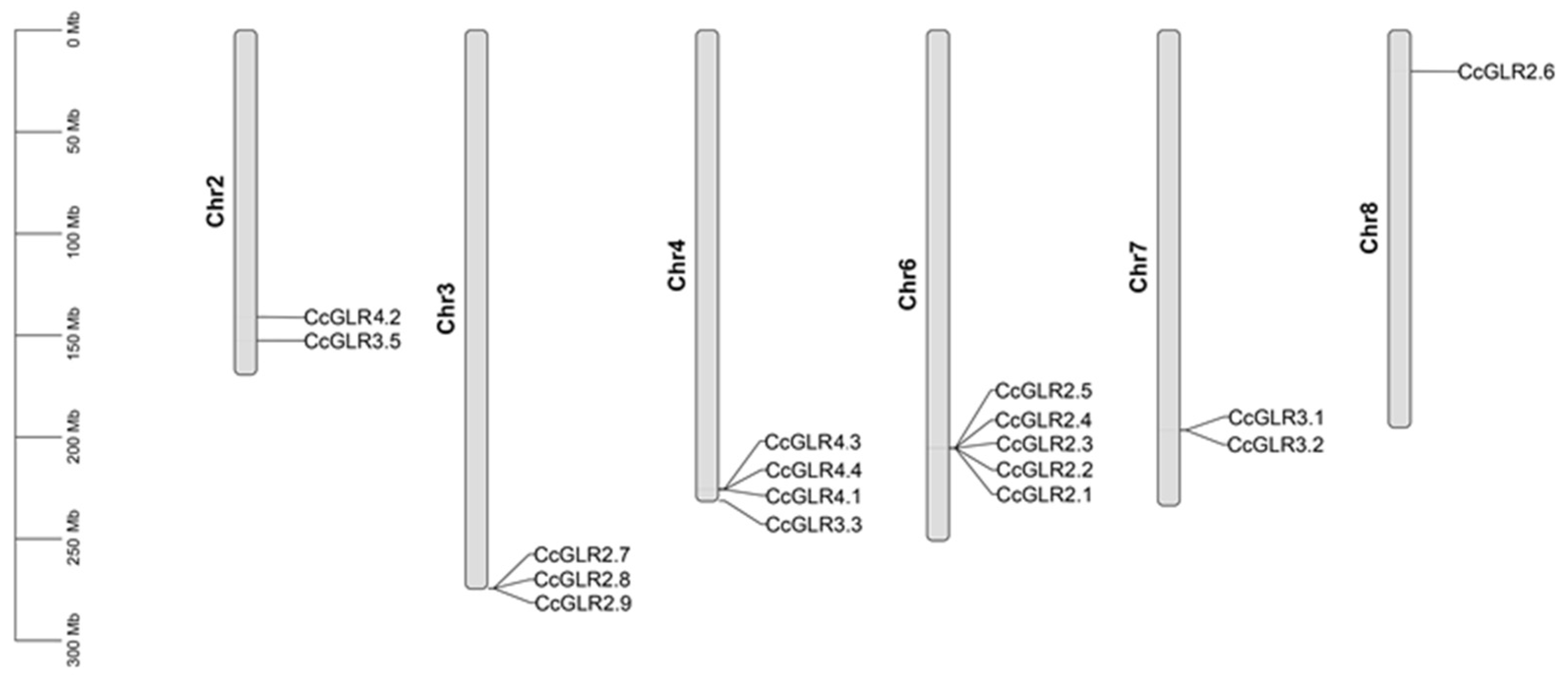 Plants 13 00812 g002