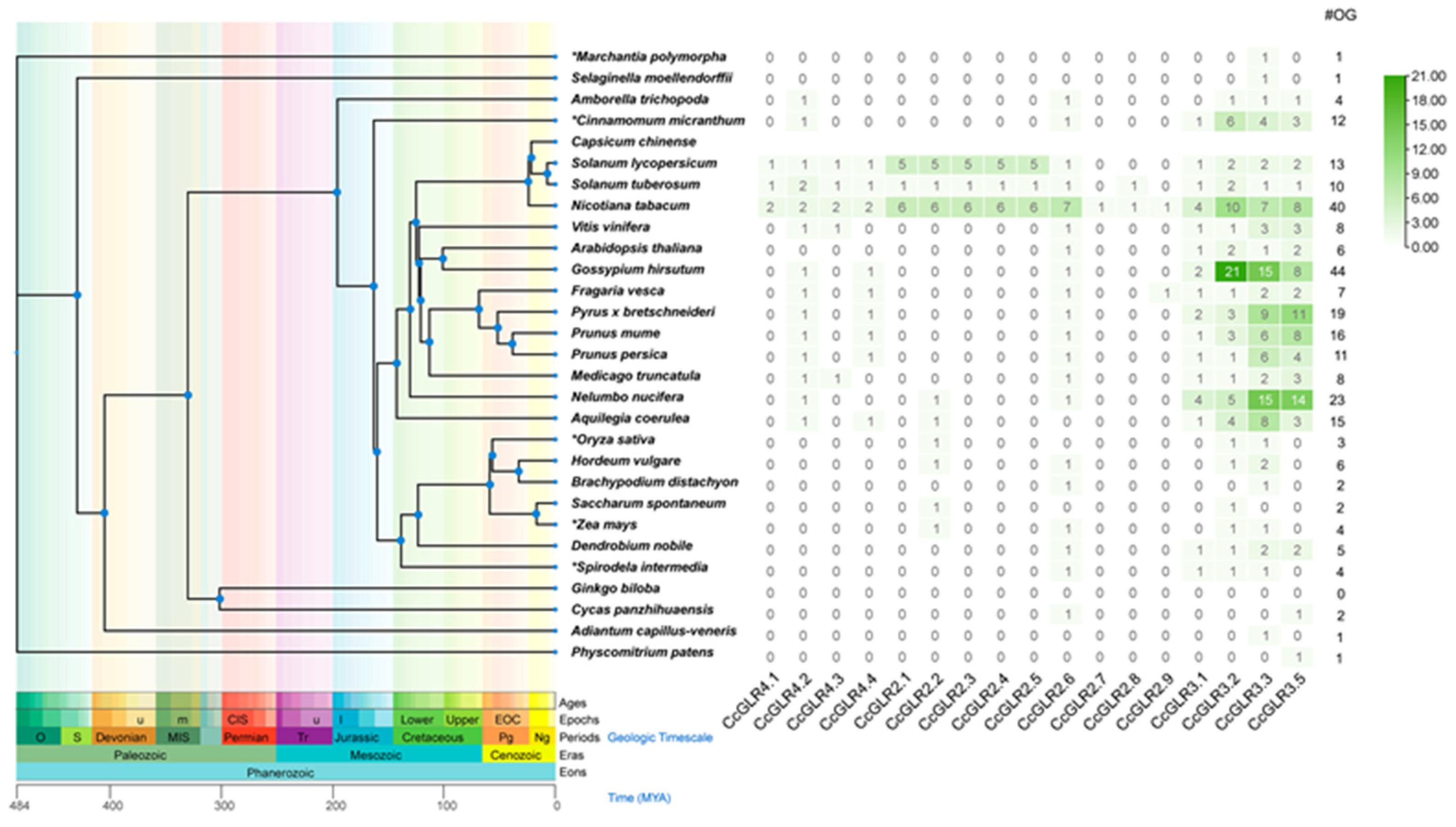 Plants 13 00812 g003