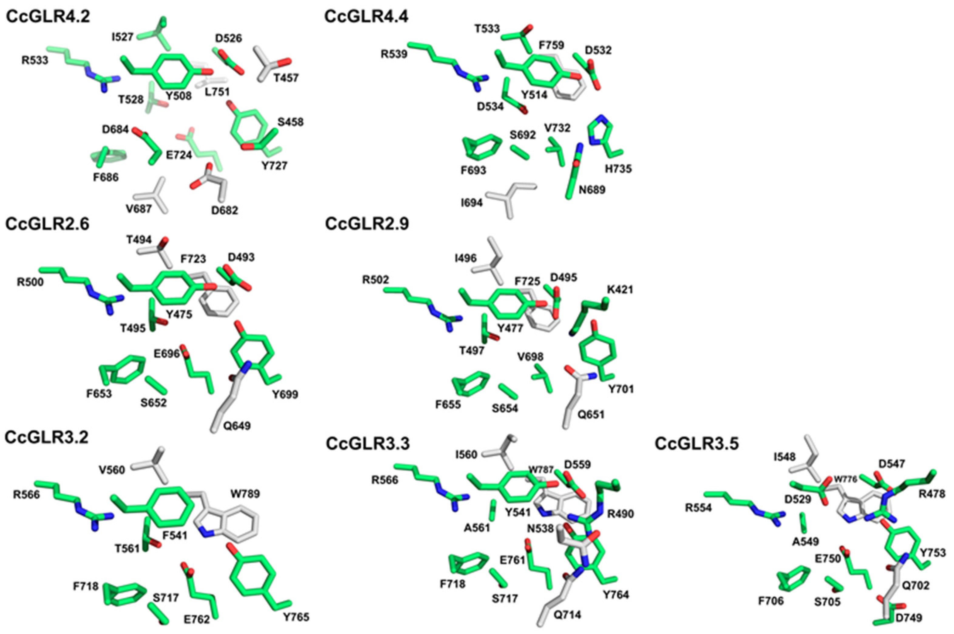 Plants 13 00812 g007