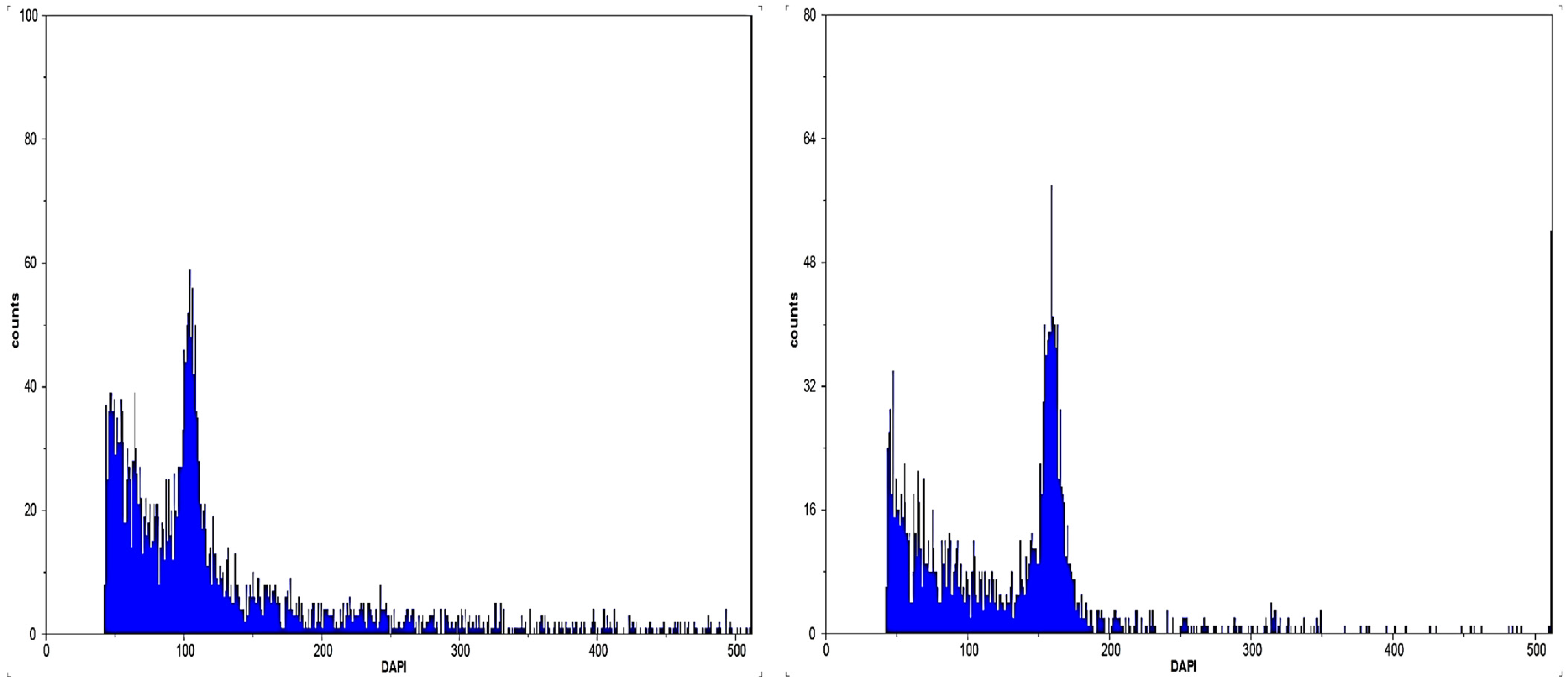 Plants 13 00815 g002