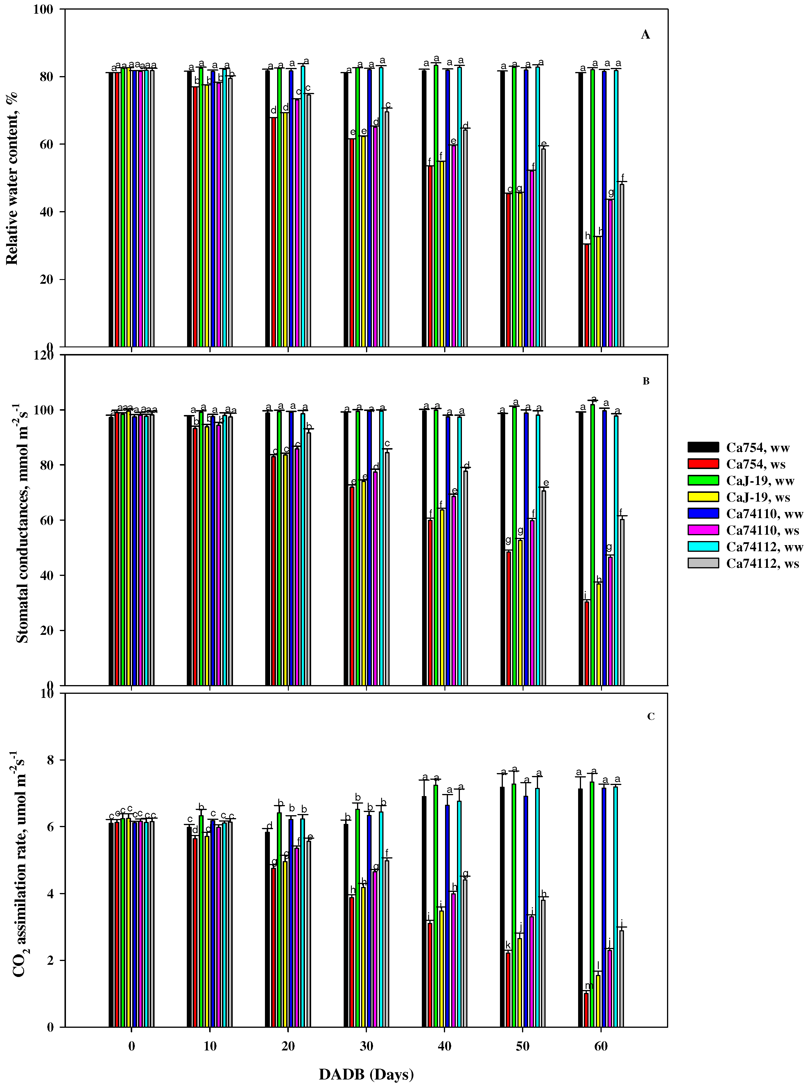 Plants 13 00828 g003