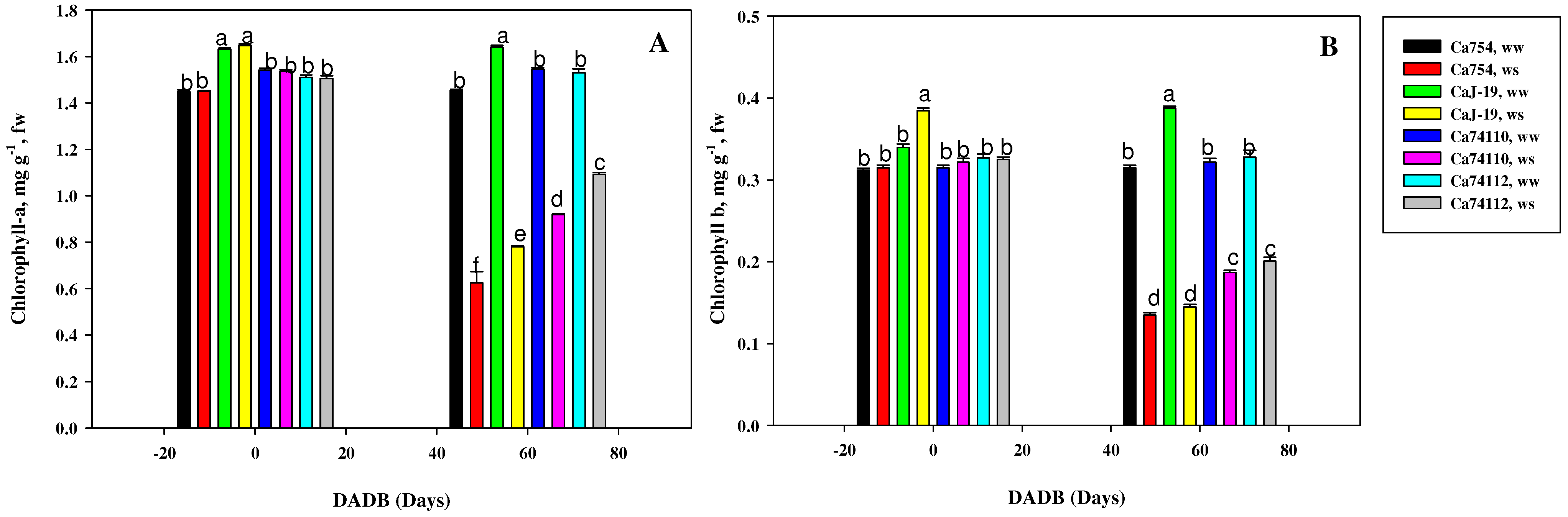 Plants 13 00828 g004