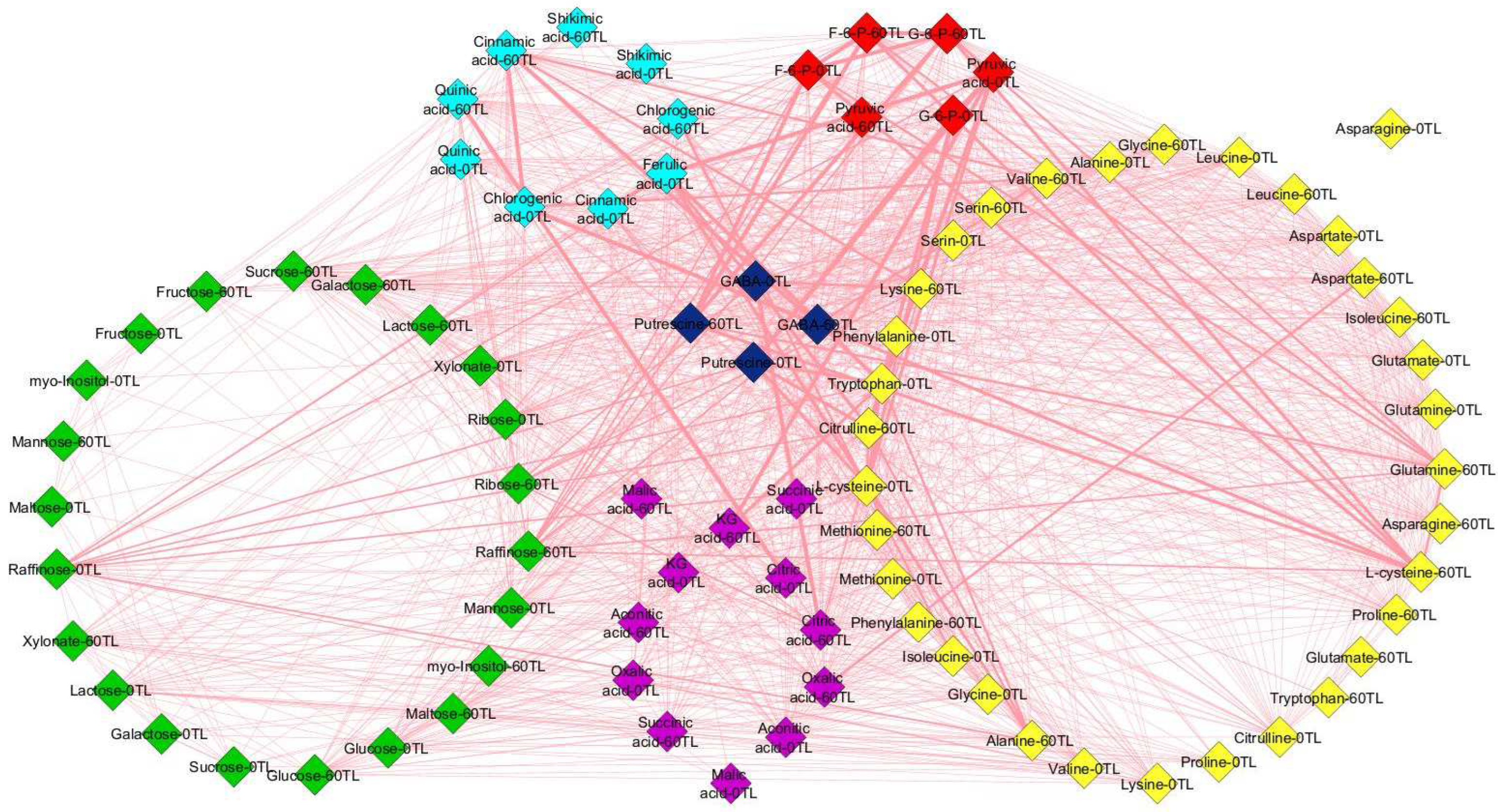 Plants 13 00828 g007