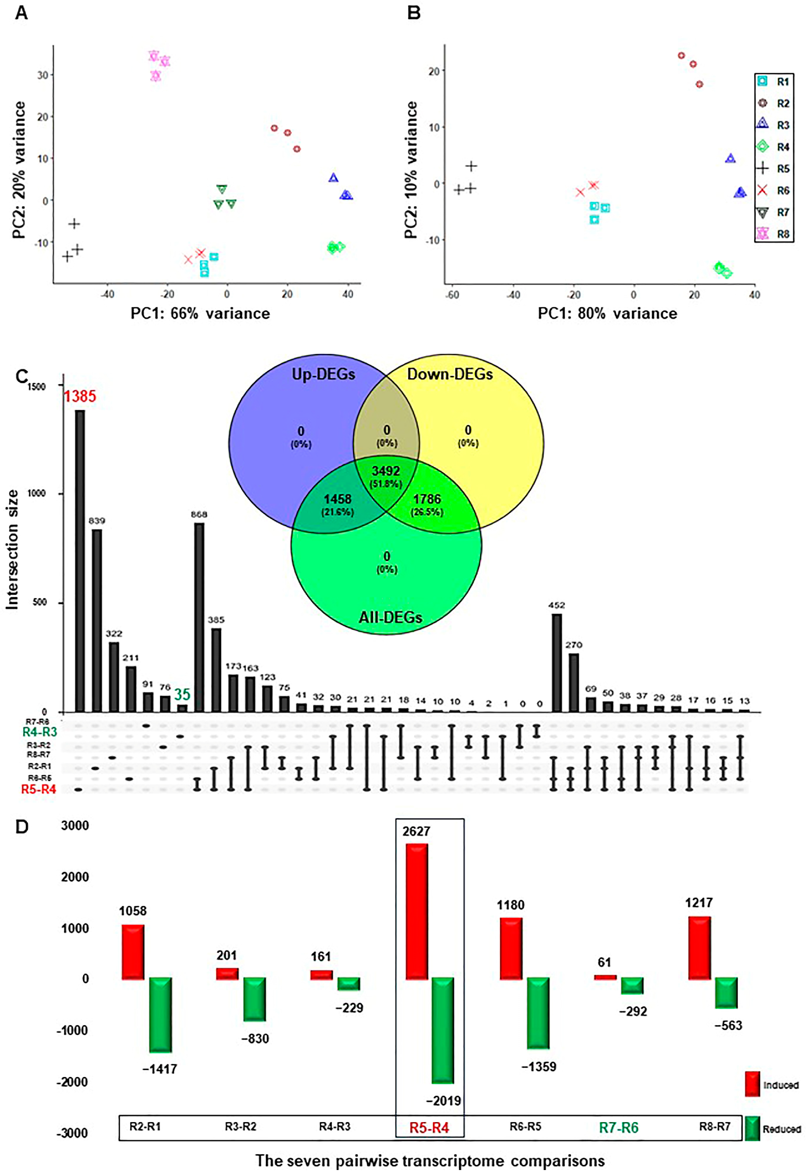 Plants Free Full Text Transcriptome Profiling of a Salt