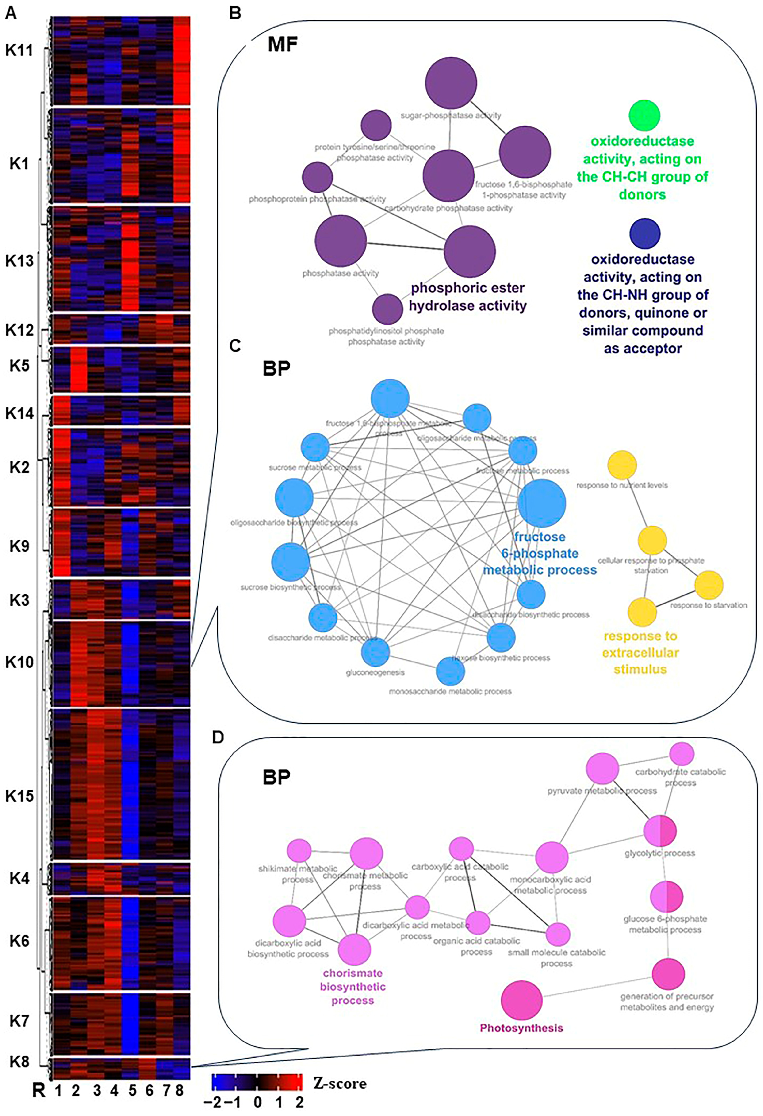 Plants 13 00837 g002