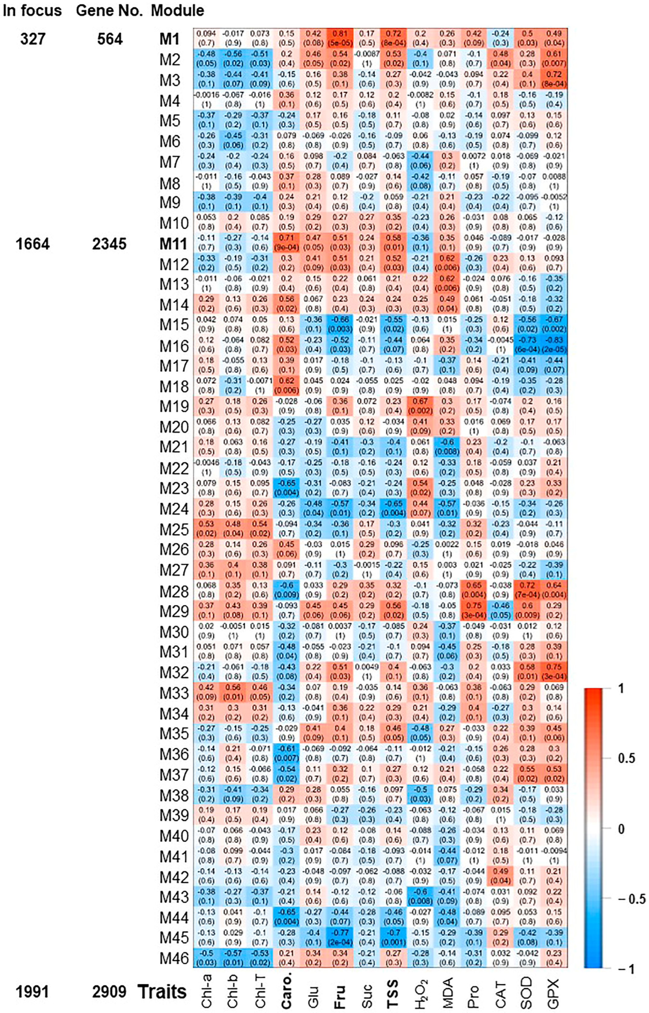 Plants 13 00837 g003