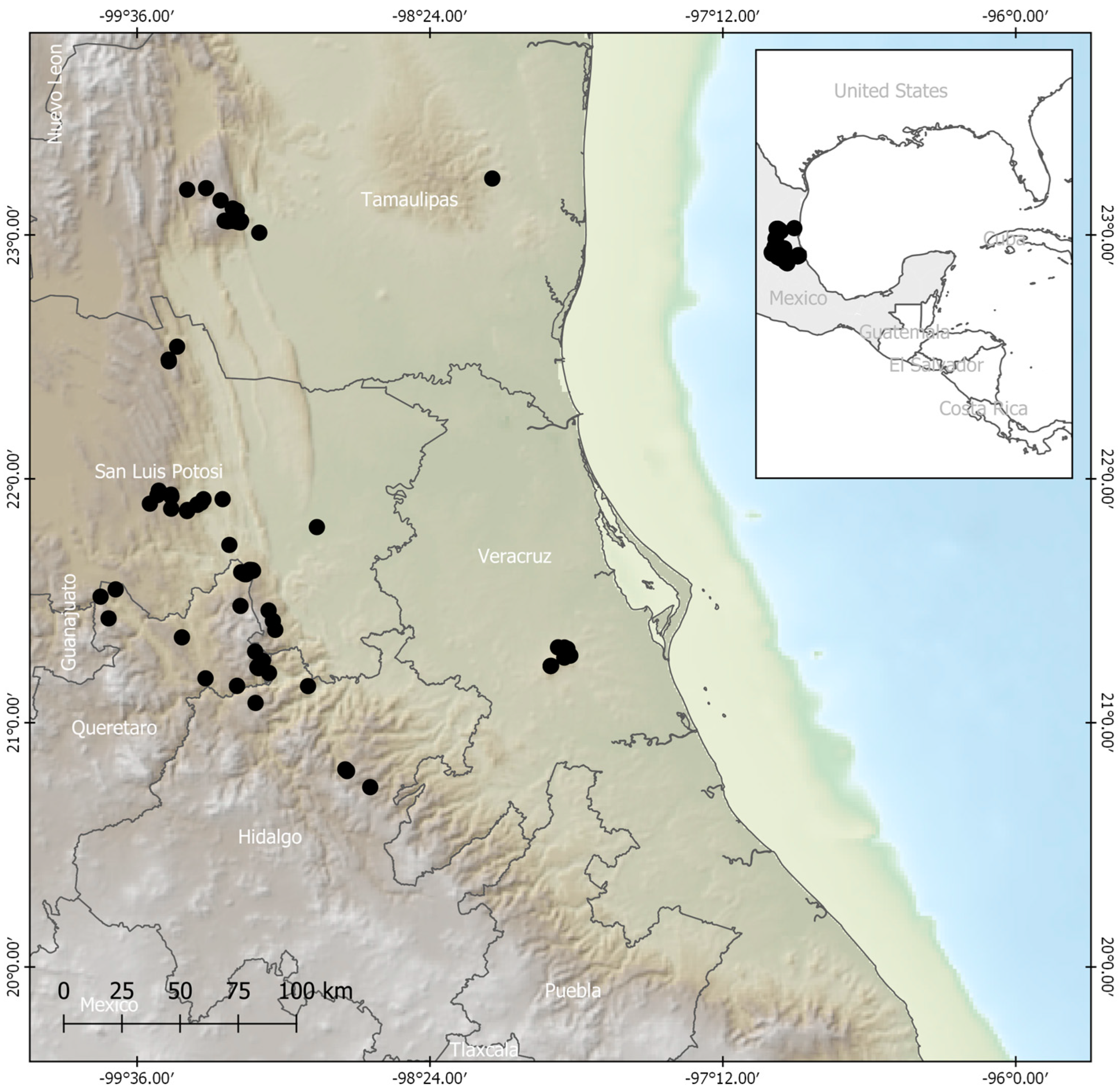 Plants 13 00839 g005 Plants 13 00839 g005