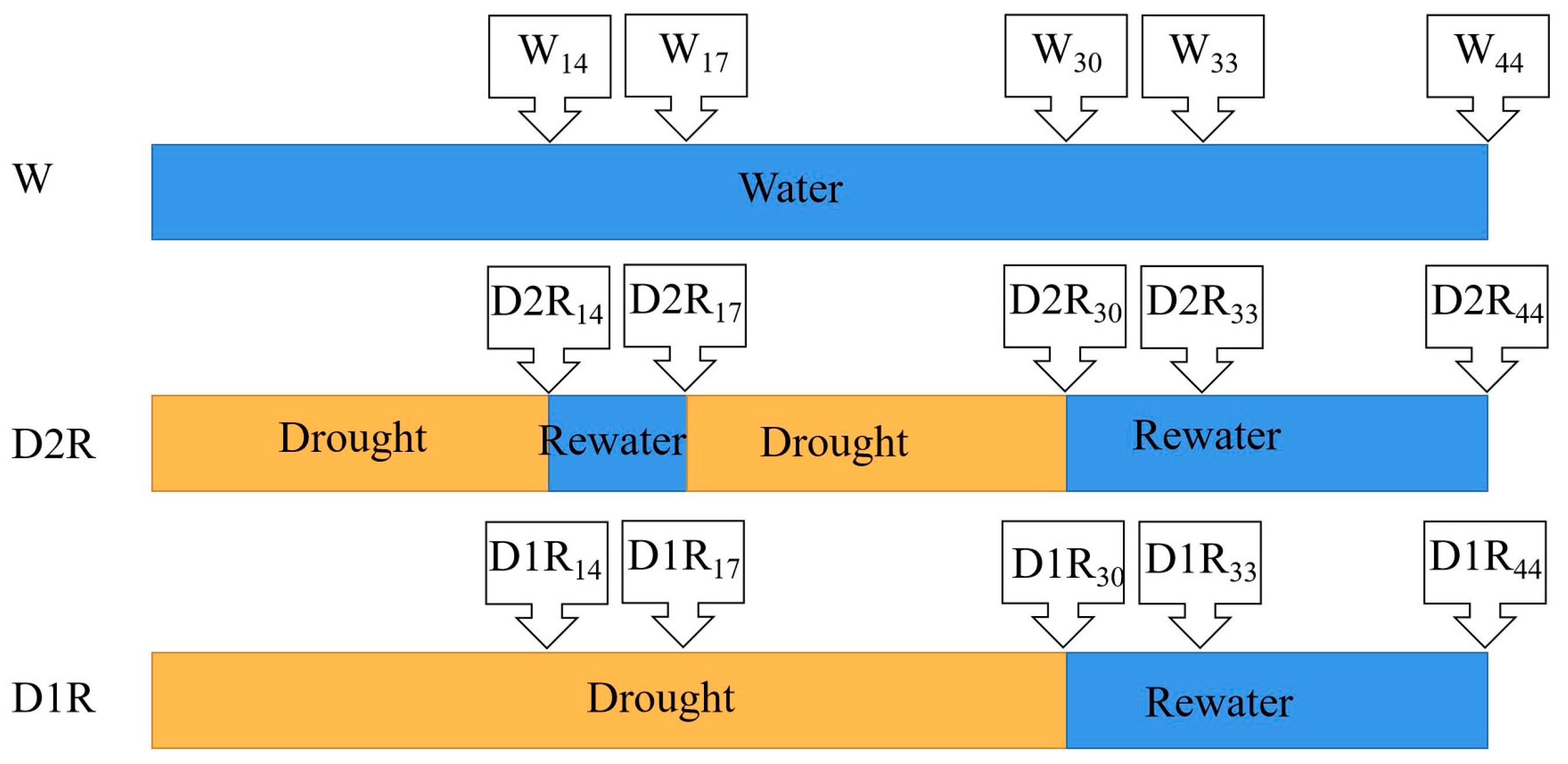 Plants 13 00854 g001 Plants 13 00854 g001