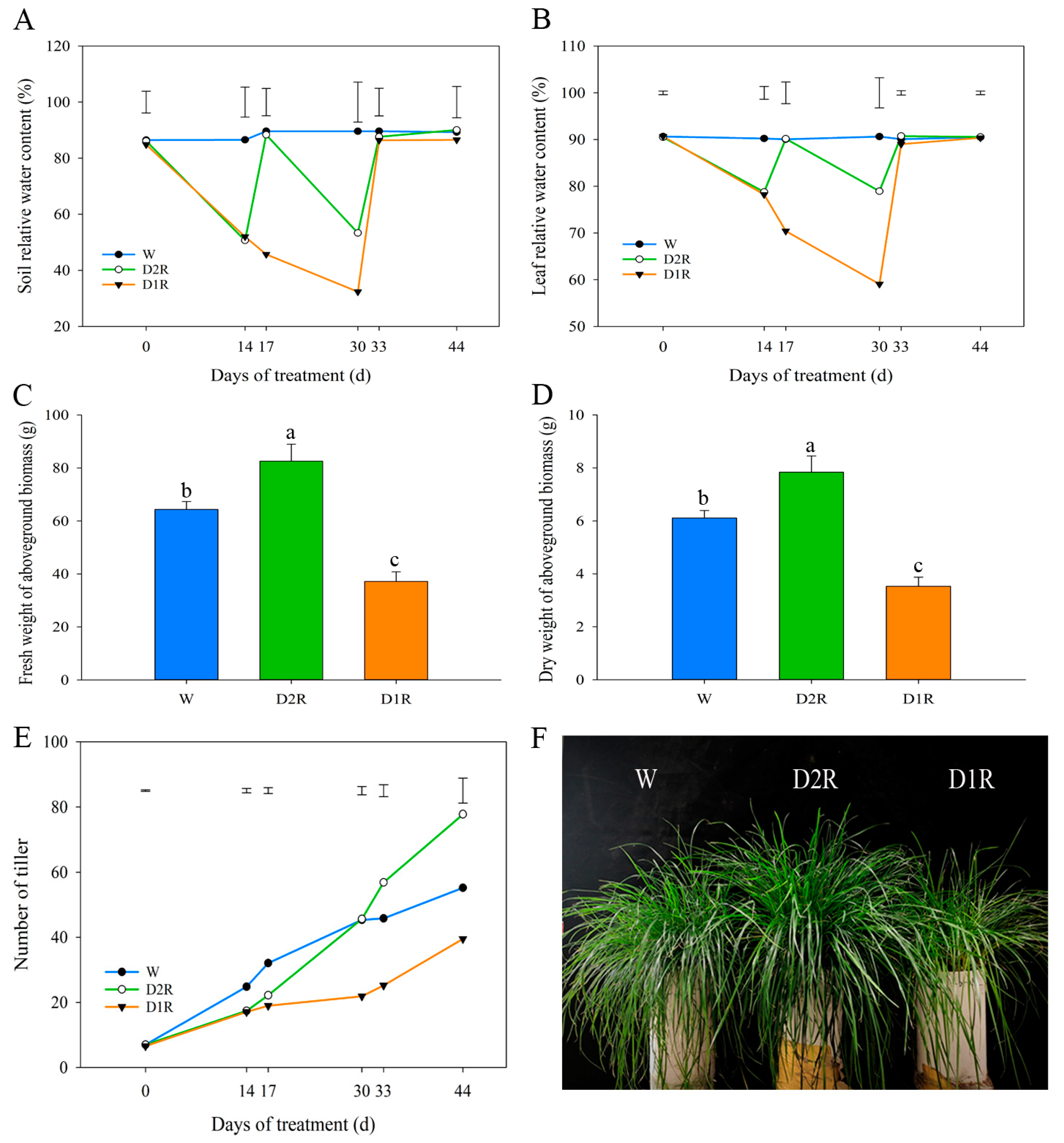 Plants 13 00854 g002 Plants 13 00854 g002