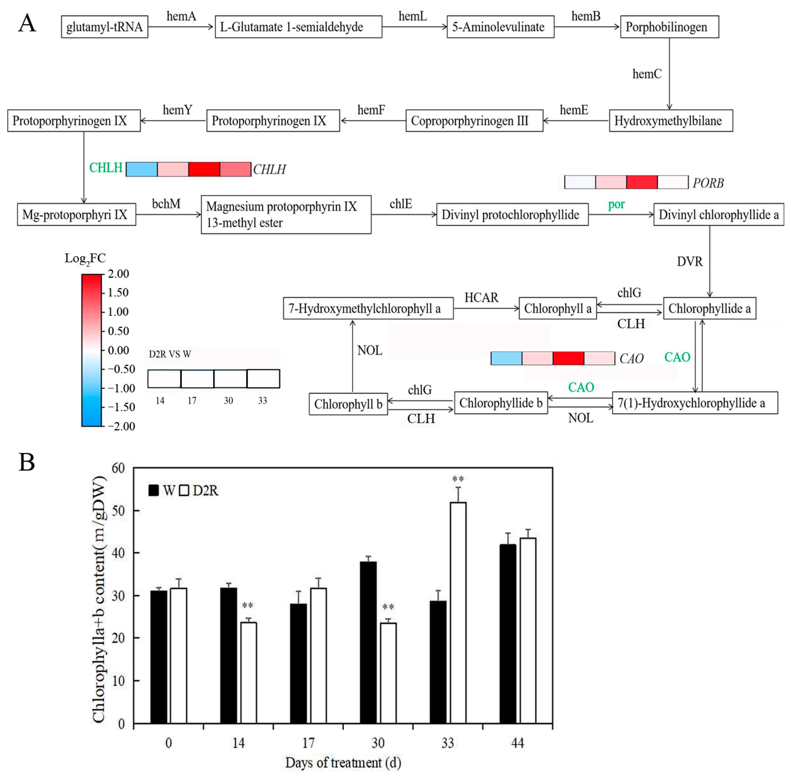 Plants 13 00854 g005 Plants 13 00854 g005