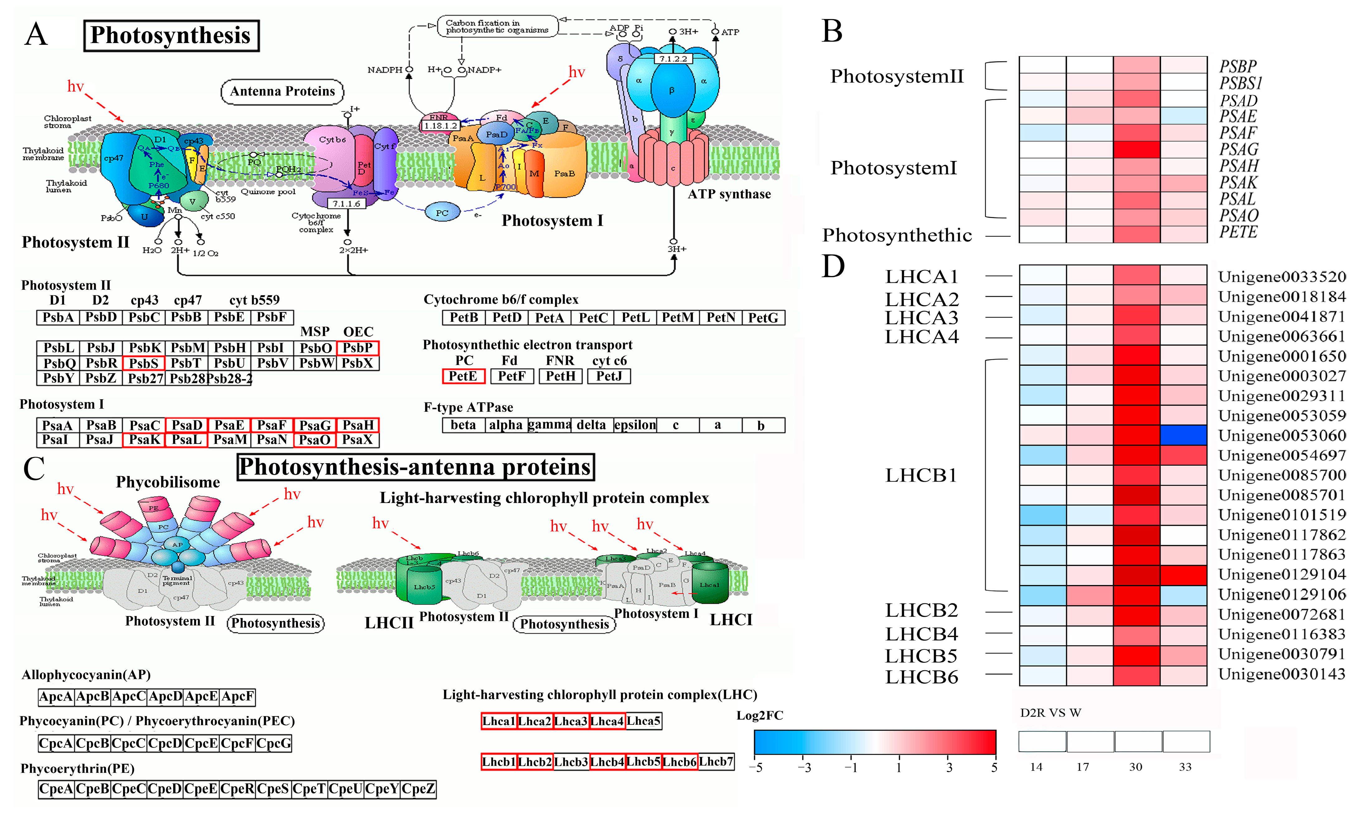 Plants 13 00854 g006 Plants 13 00854 g006