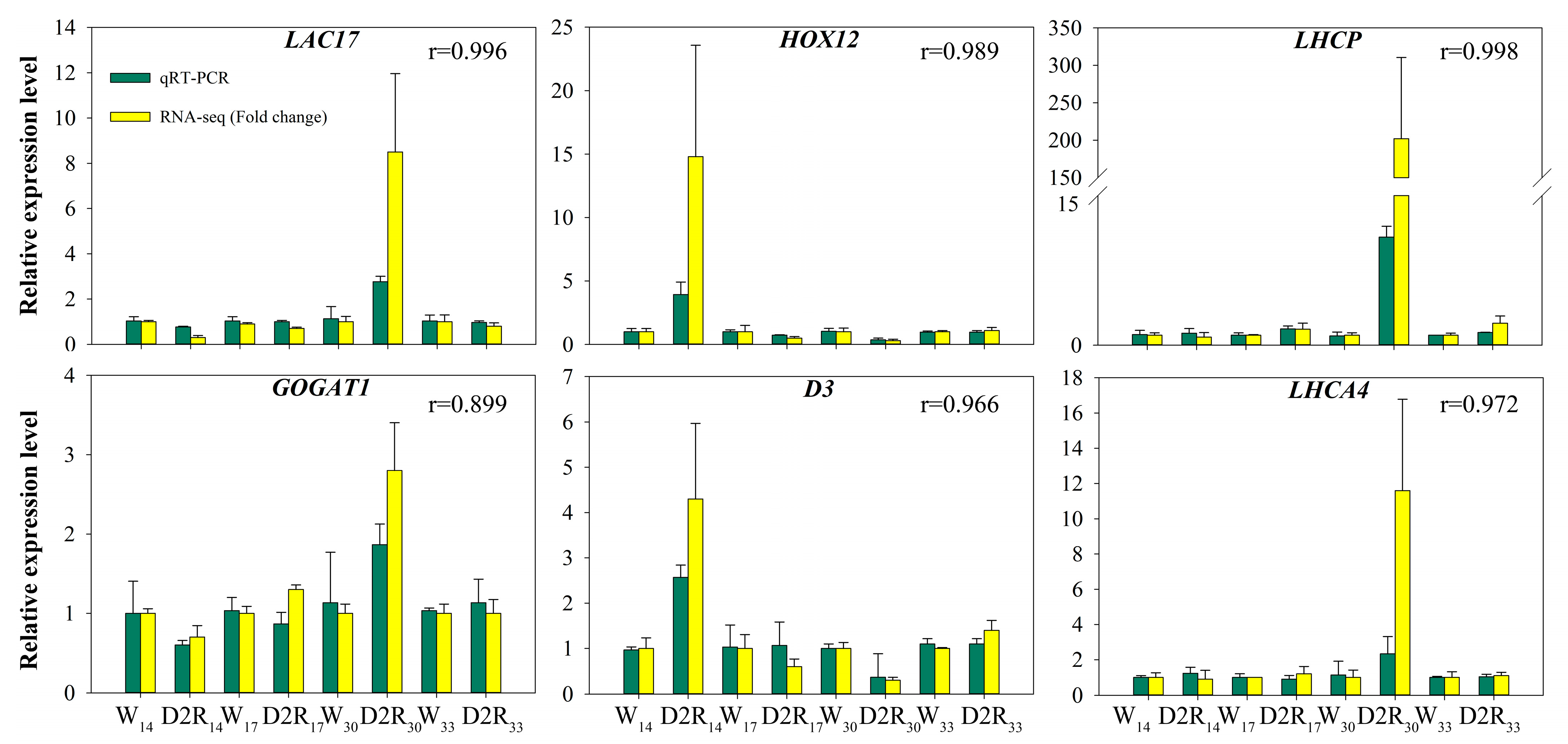 Plants 13 00854 g007 Plants 13 00854 g007