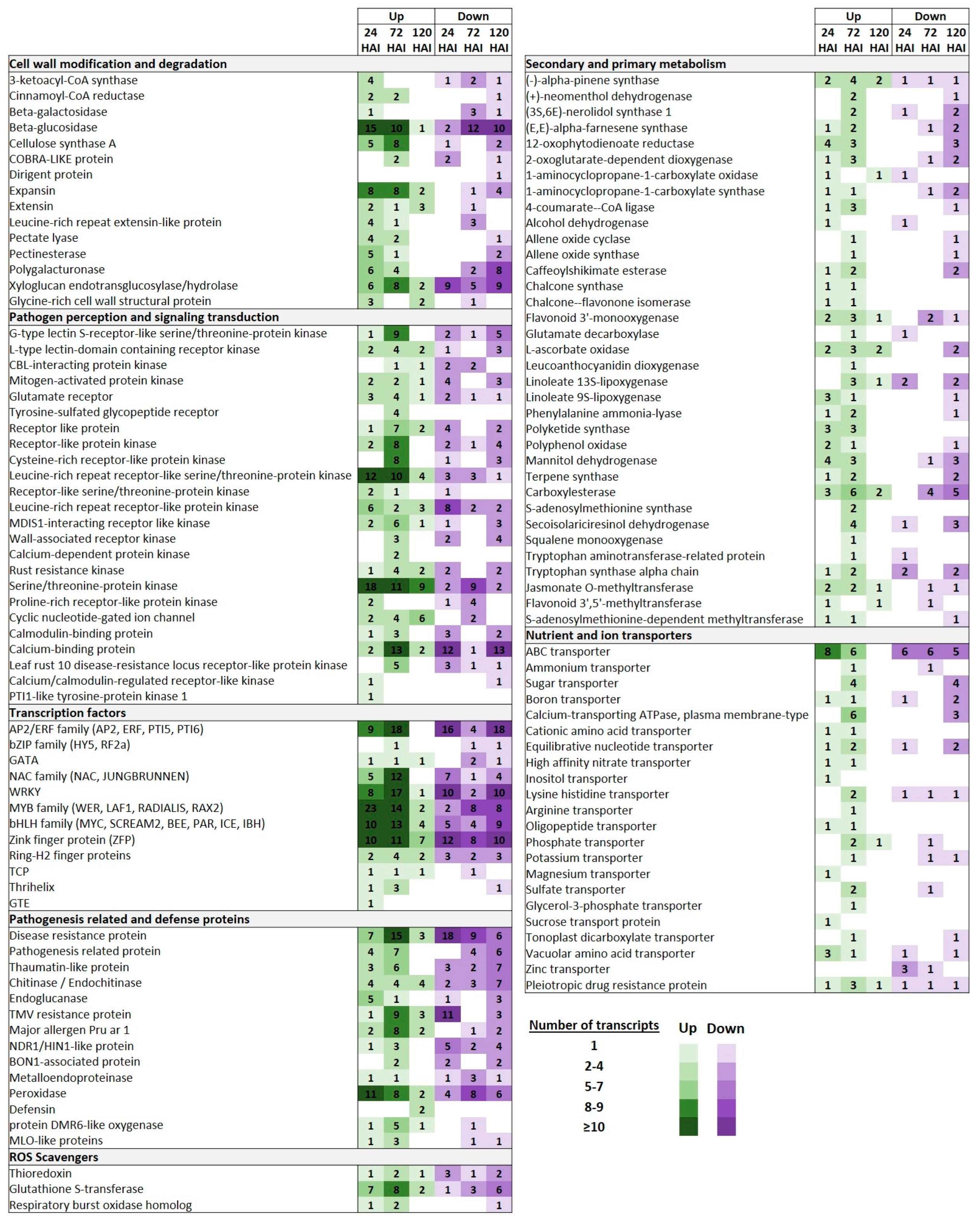 Plants 13 00861 g005