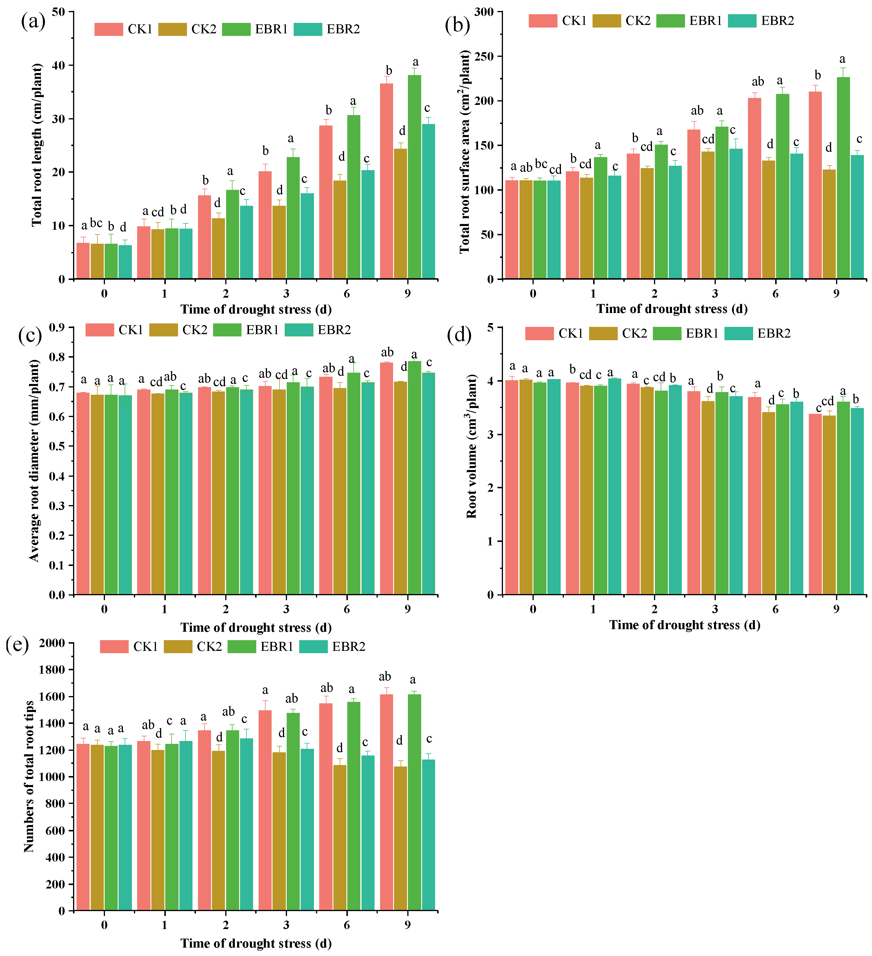 Plants 13 00873 g001