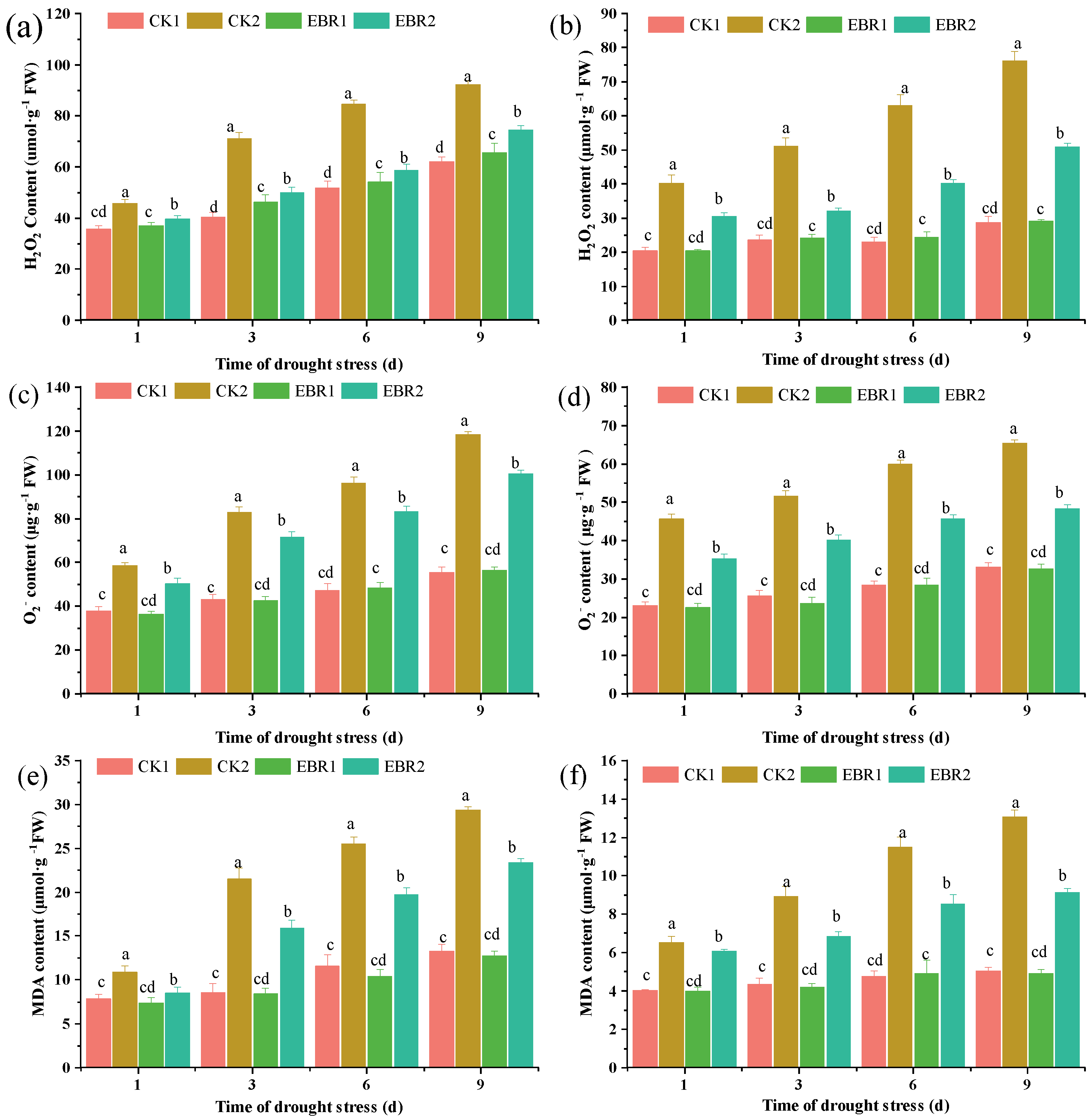 Plants 13 00873 g002