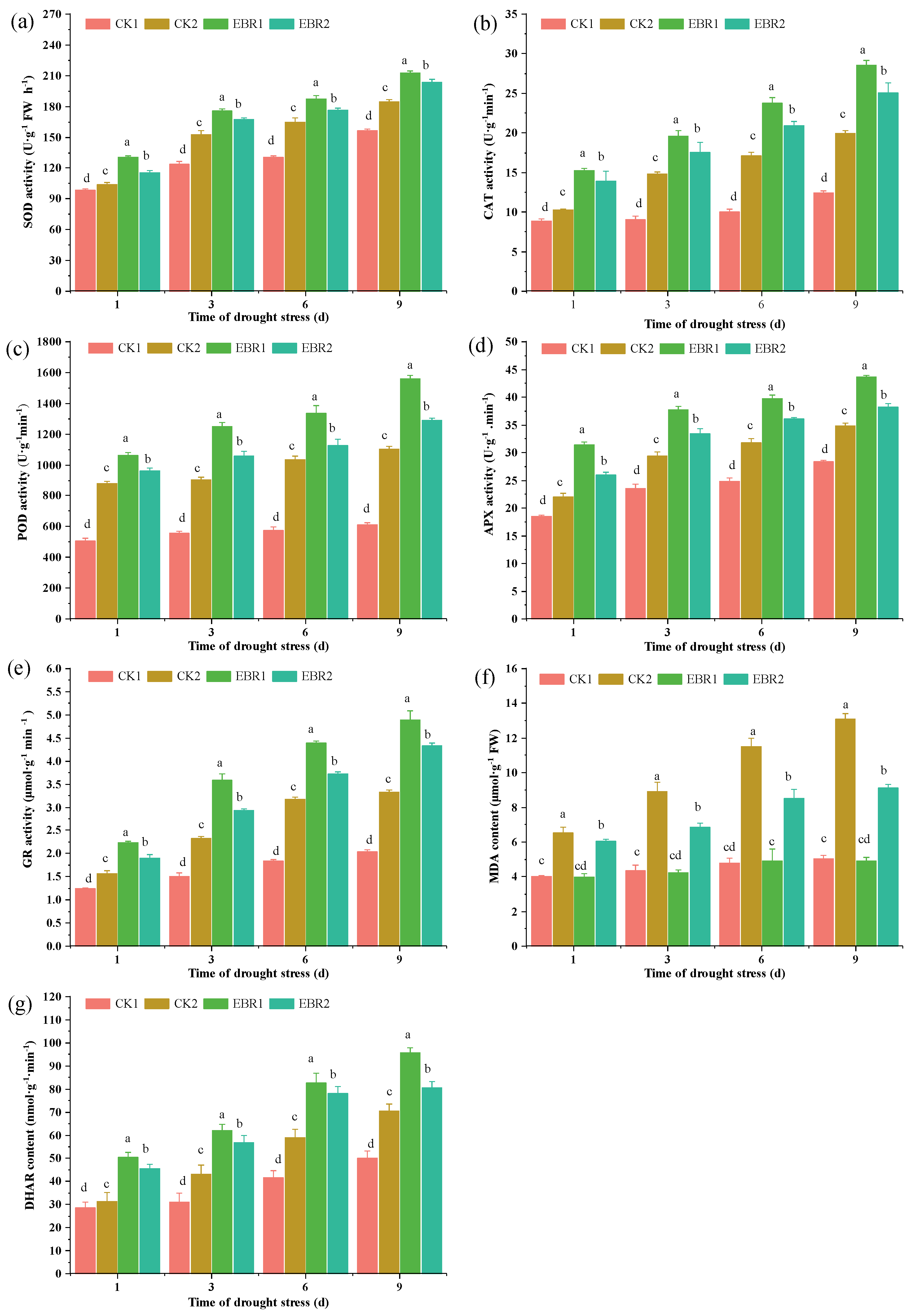 Plants 13 00873 g004