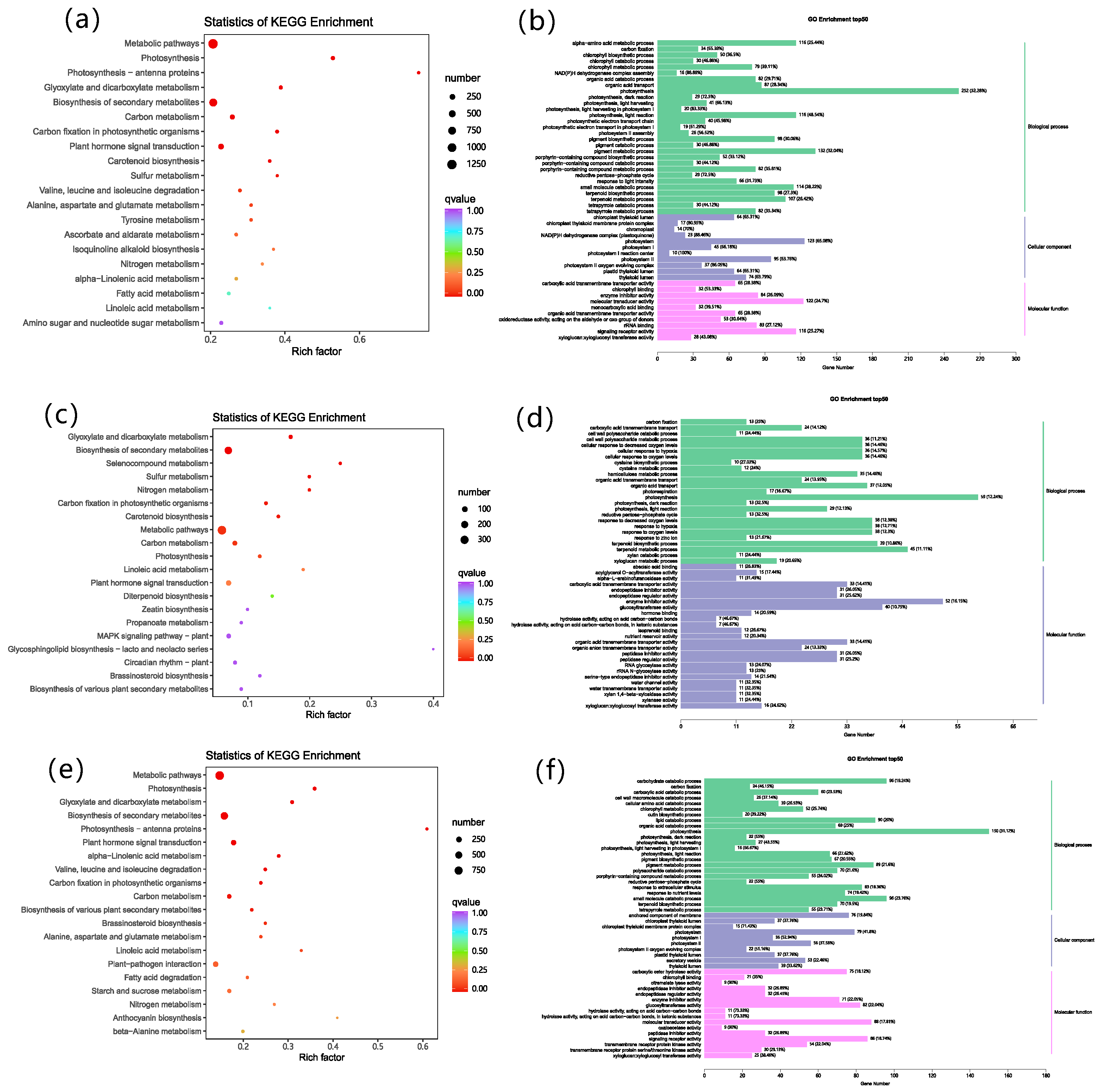 Plants 13 00873 g007