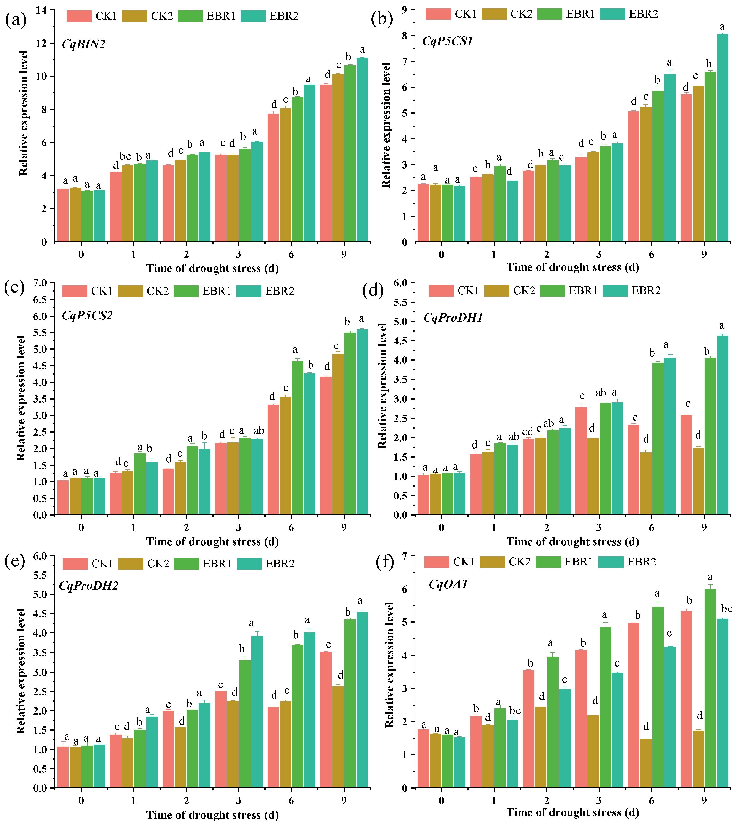 Plants 13 00873 g009