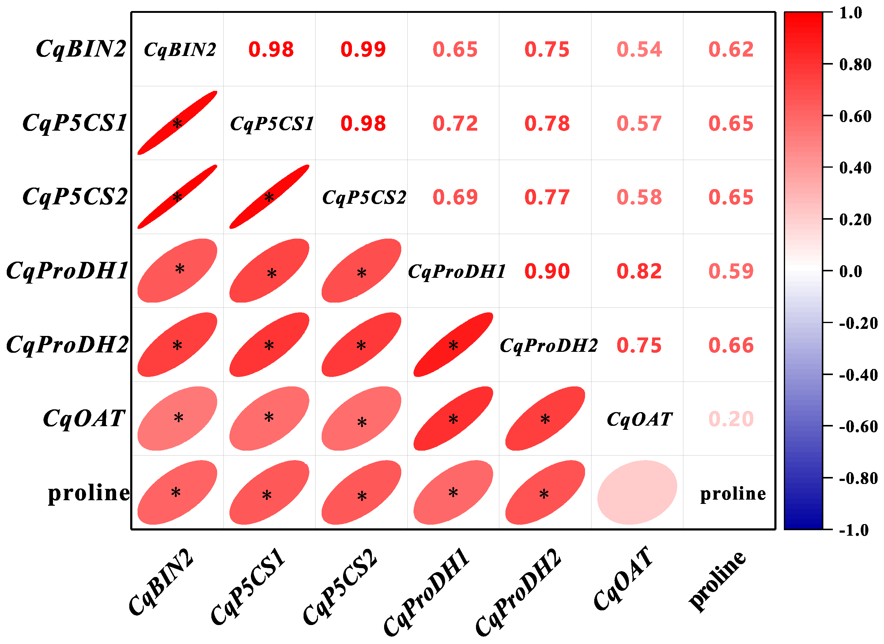Plants 13 00873 g010