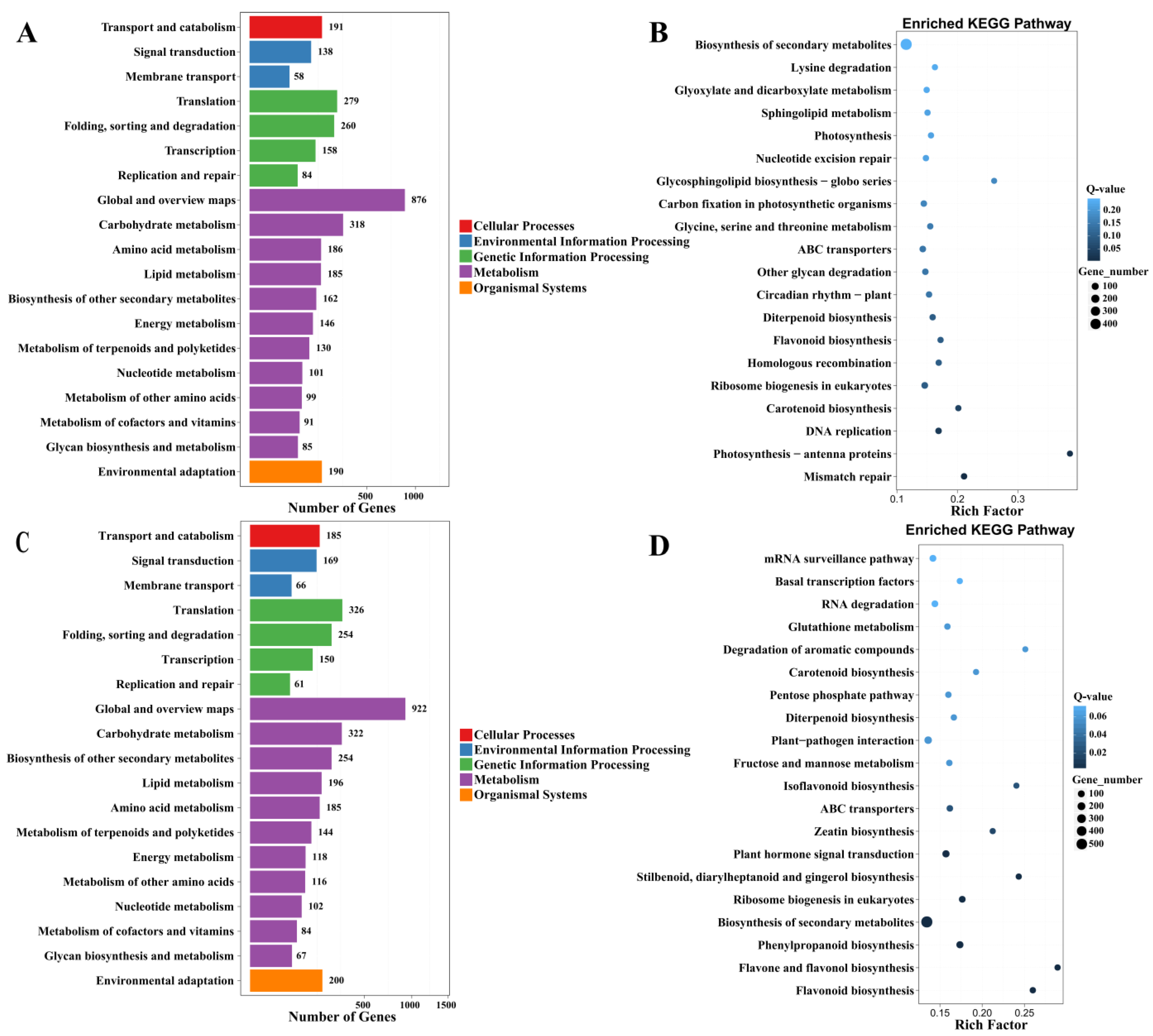Plants 13 00874 g006 Plants 13 00874 g006