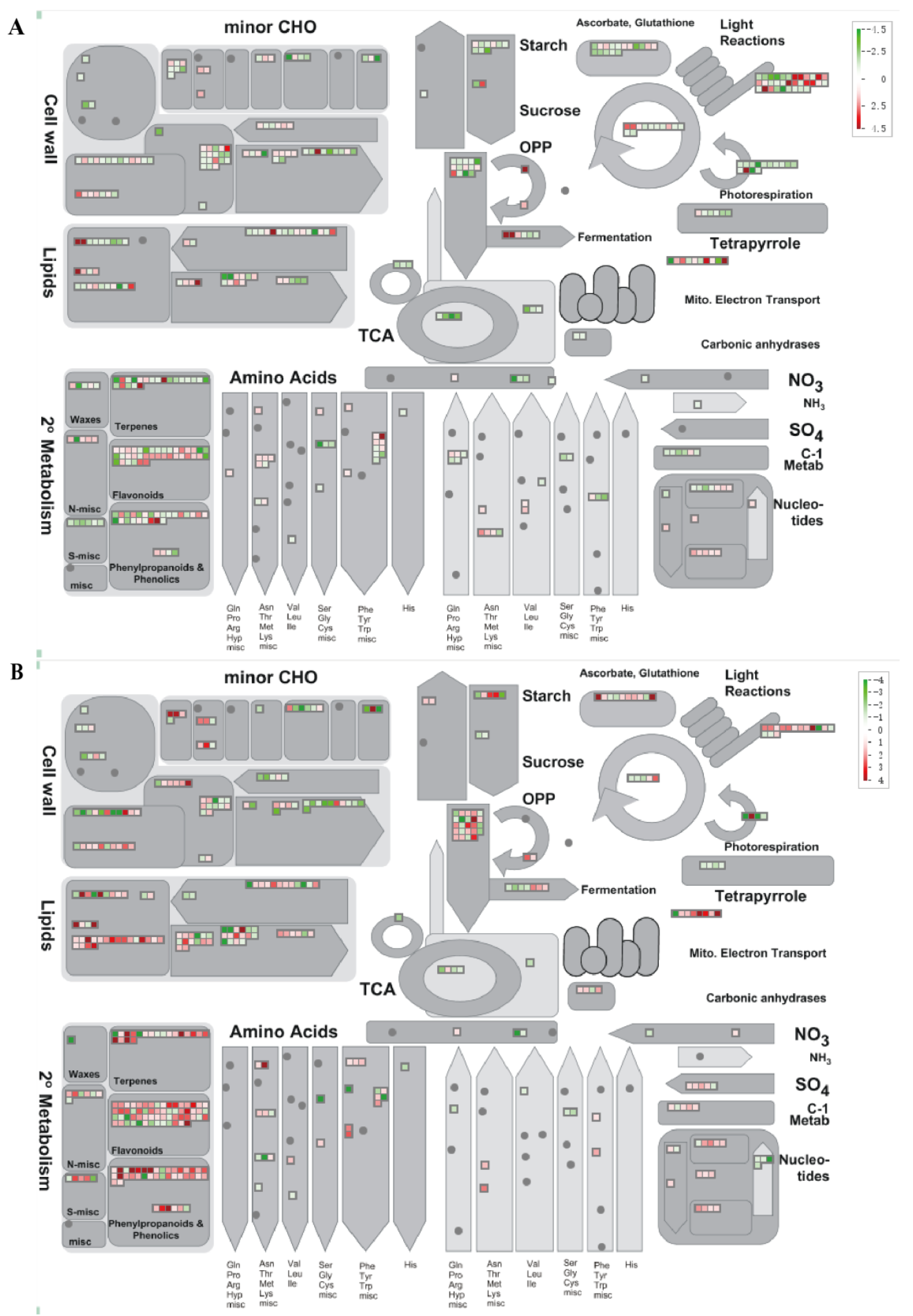 Plants 13 00874 g008 Plants 13 00874 g008