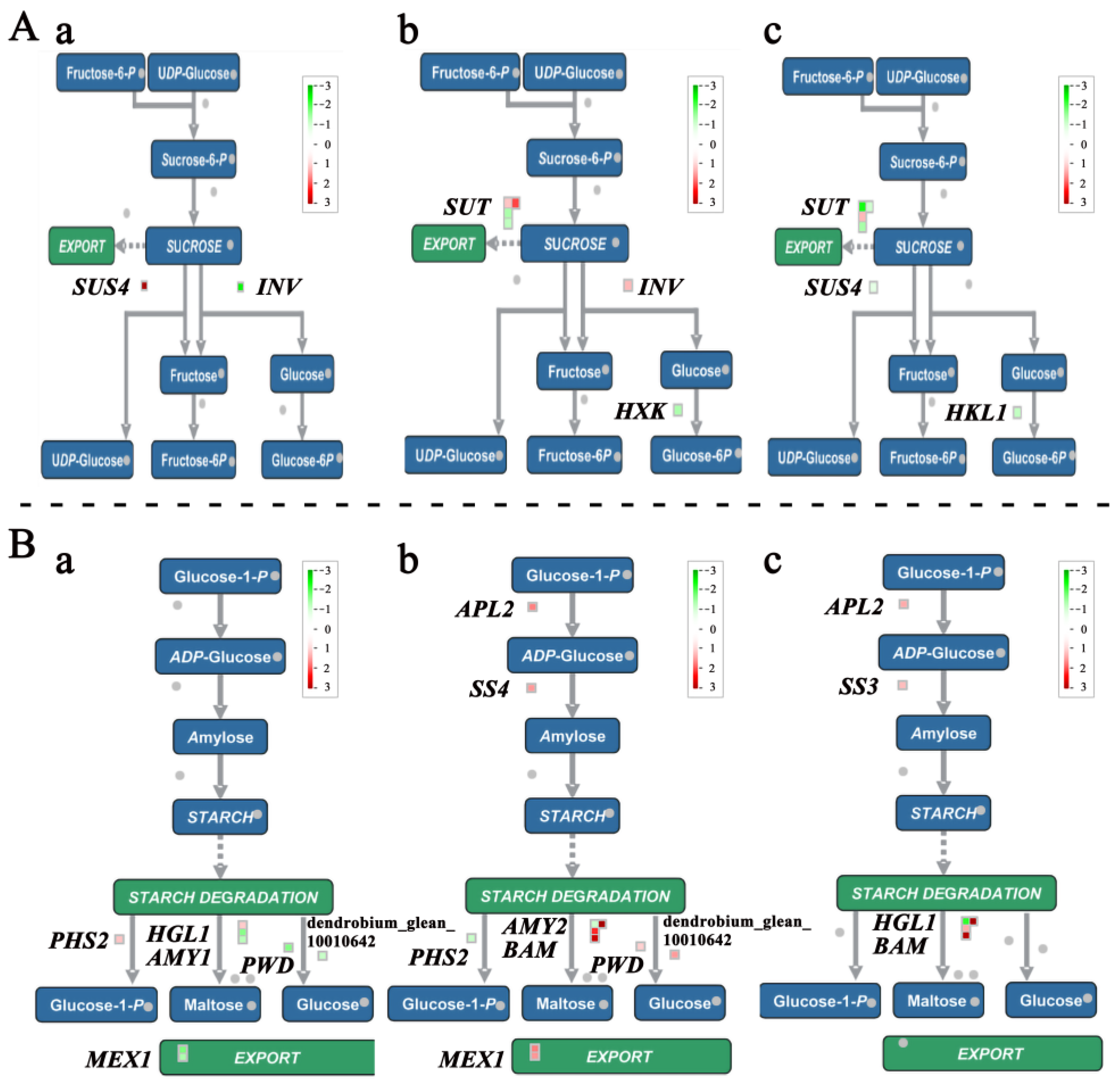 Plants 13 00874 g009 Plants 13 00874 g009