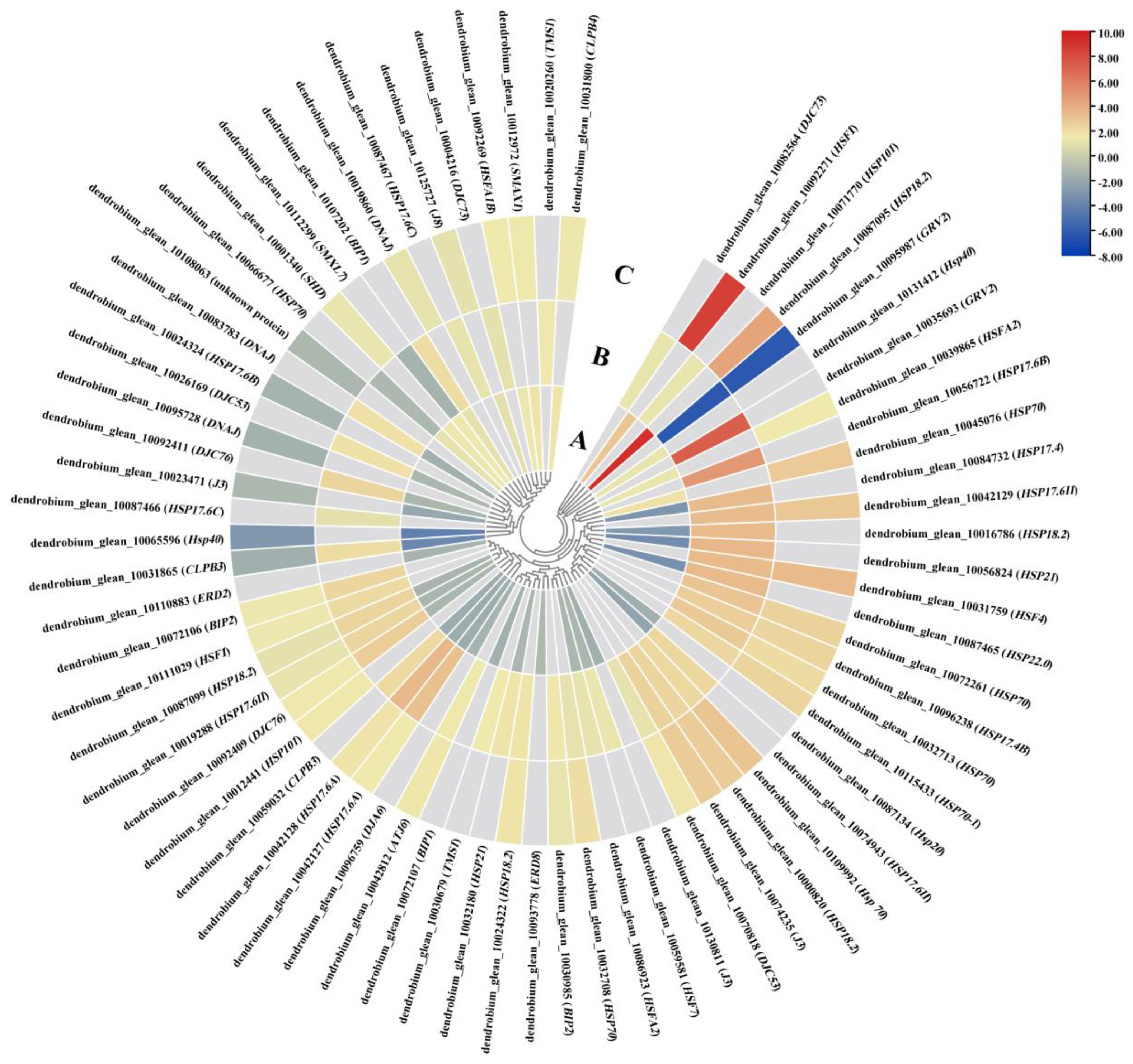Plants 13 00874 g011 Plants 13 00874 g011