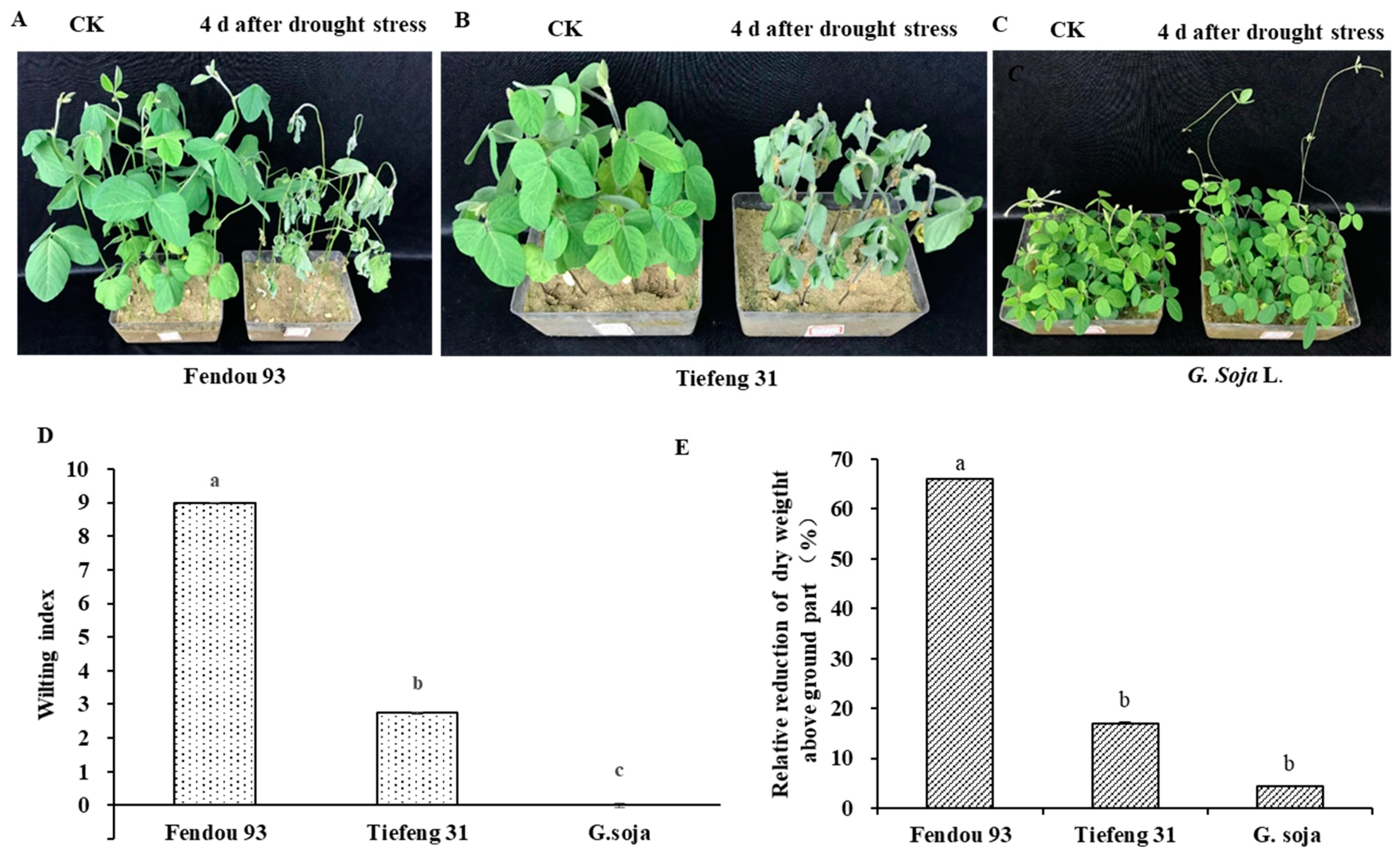 Plants 13 00880 g001