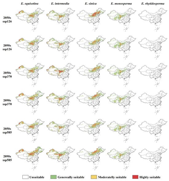 Plants Free Full Text Distribution Pattern of Suitable Areas  