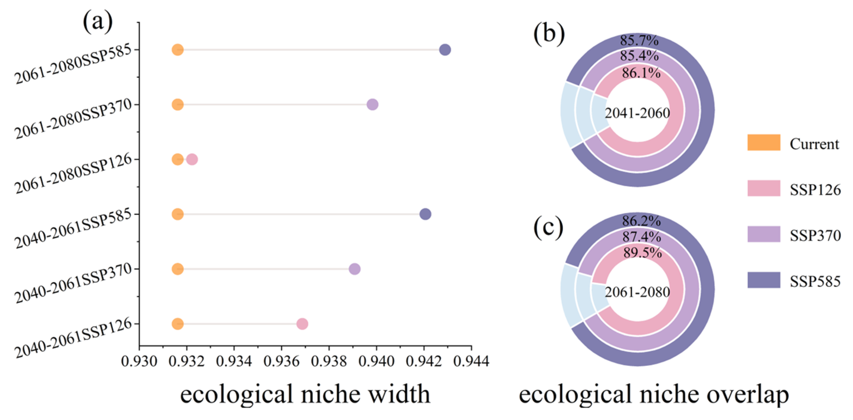 Plants 13 00896 g004