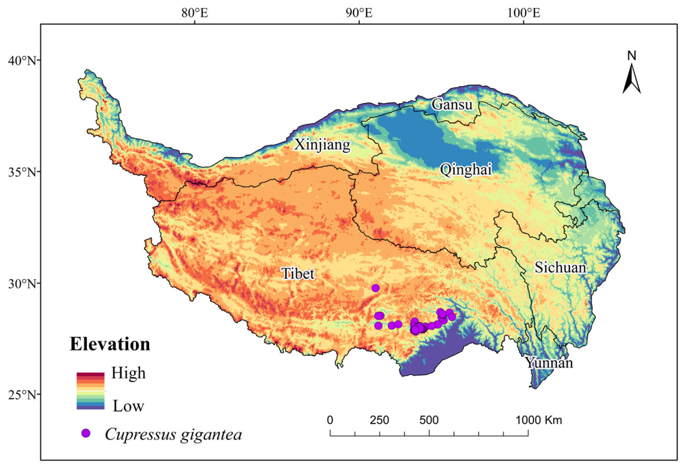 Plants 13 00896 g006