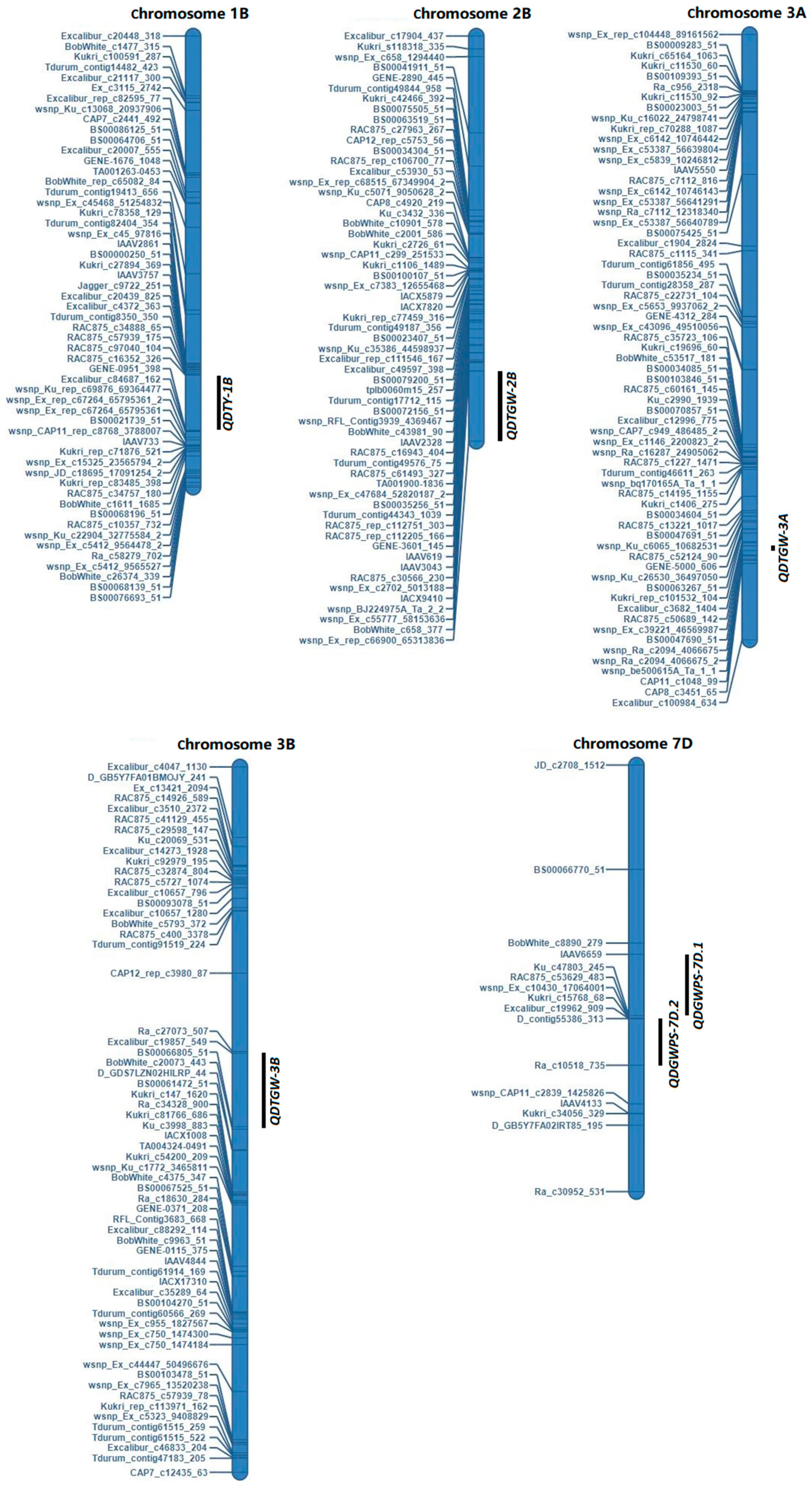 Plants 13 00898 g004