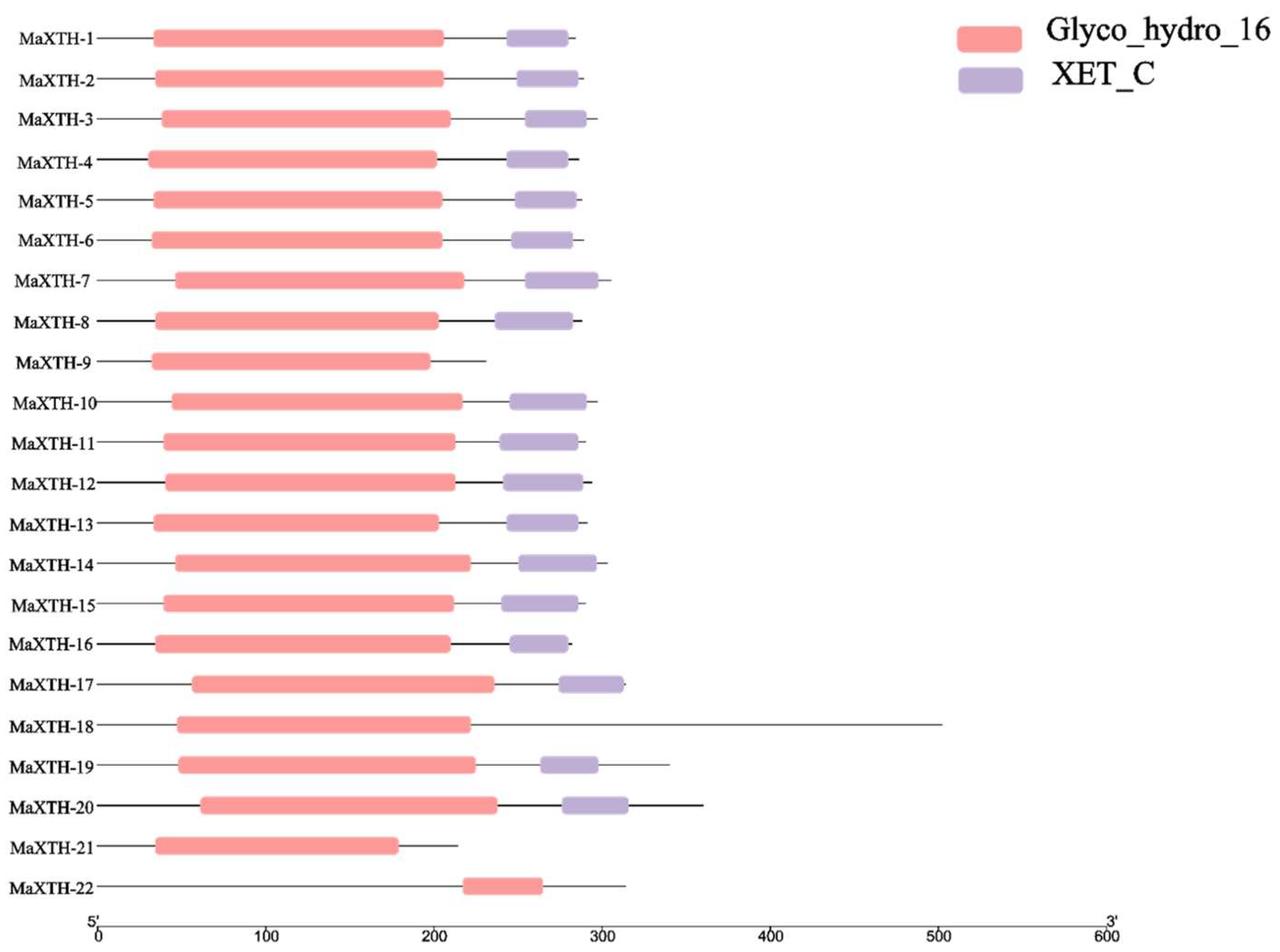 Plants 13 00902 g002