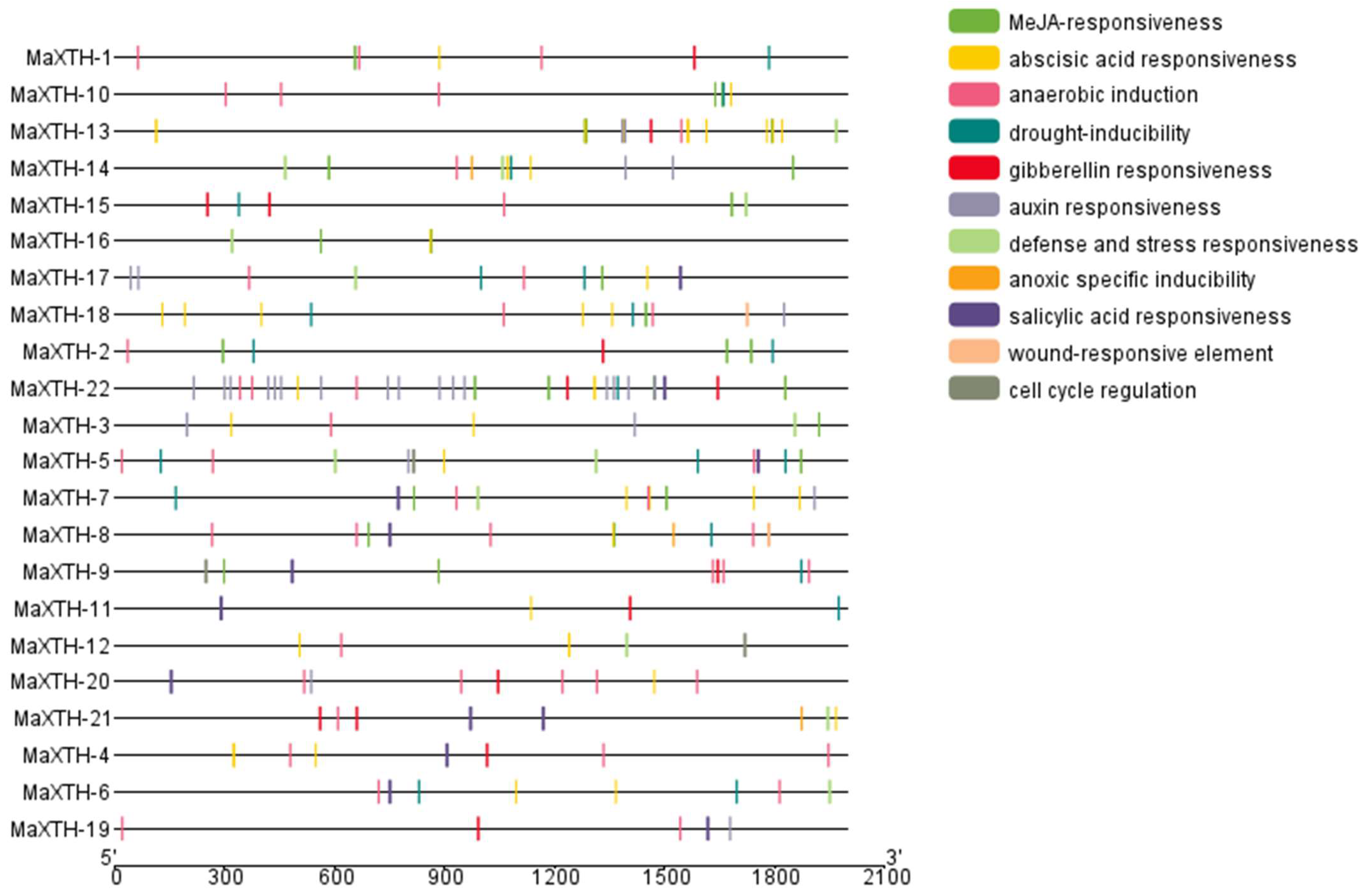 Plants 13 00902 g005