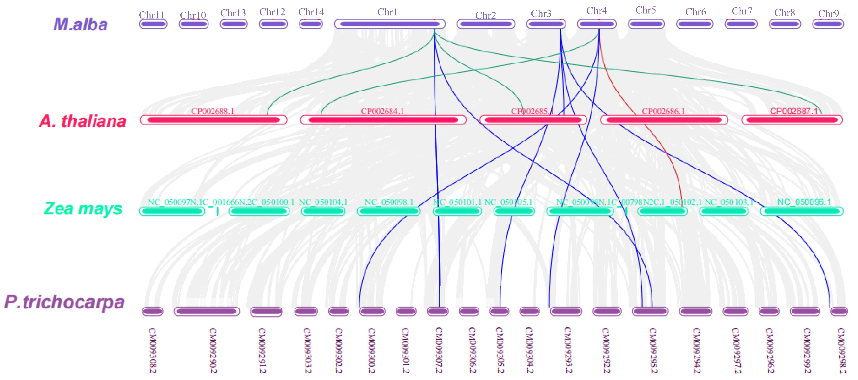 Plants 13 00902 g008