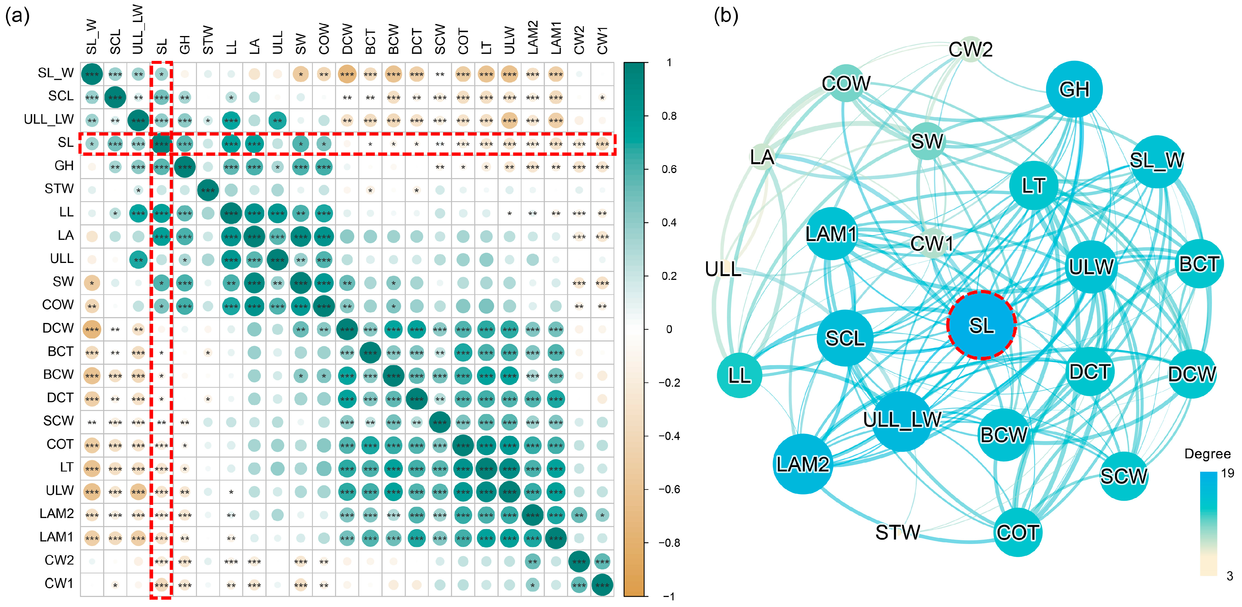 Plants 13 00921 g004